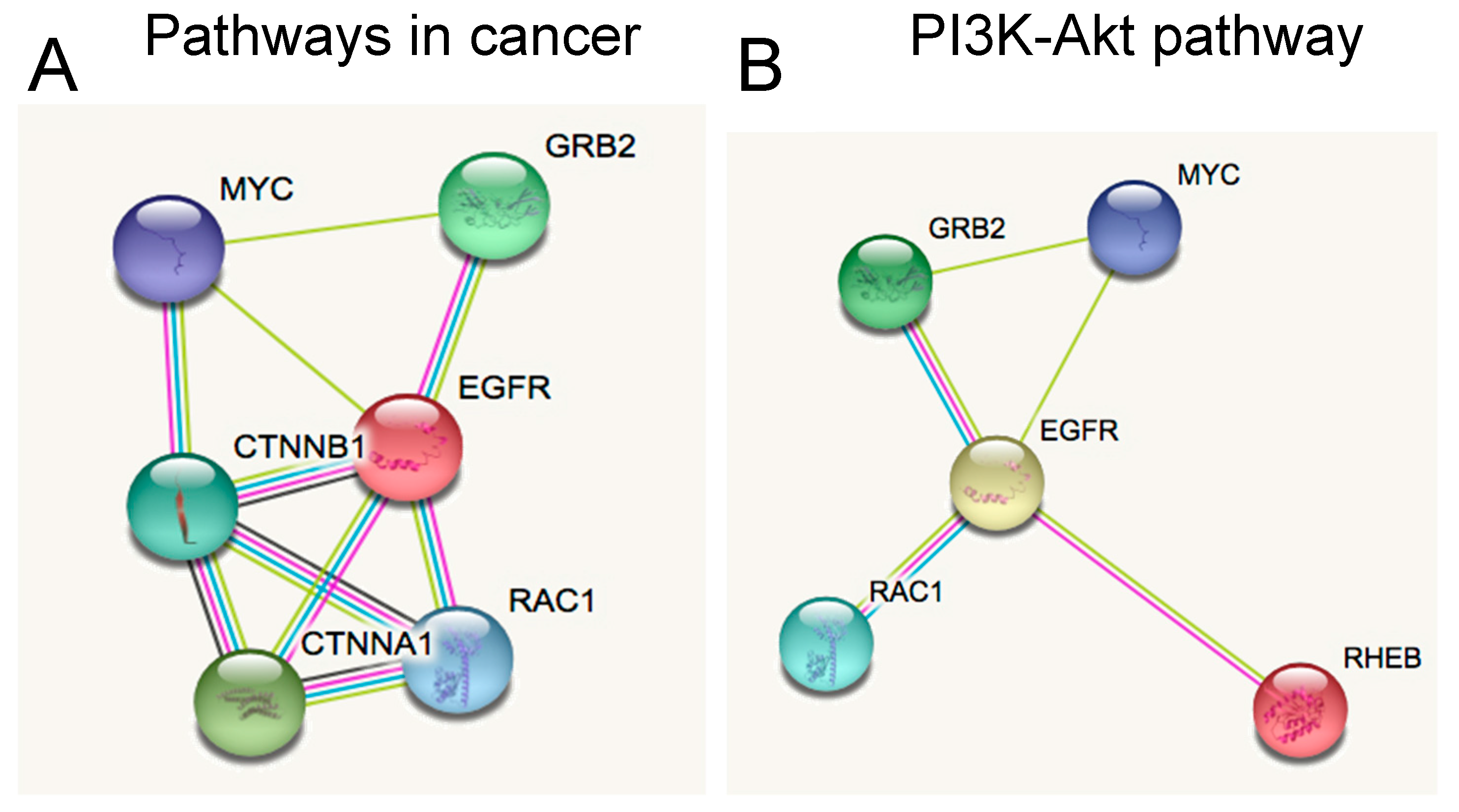 Ijms 19 02326 g006 Ijms 19 02326 g006