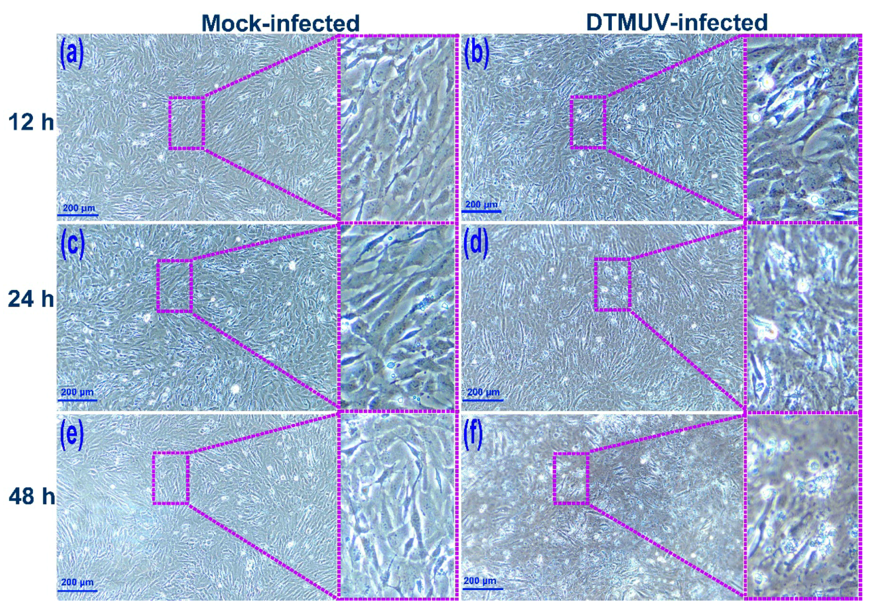 Ijms 19 02328 g001 Ijms 19 02328 g001