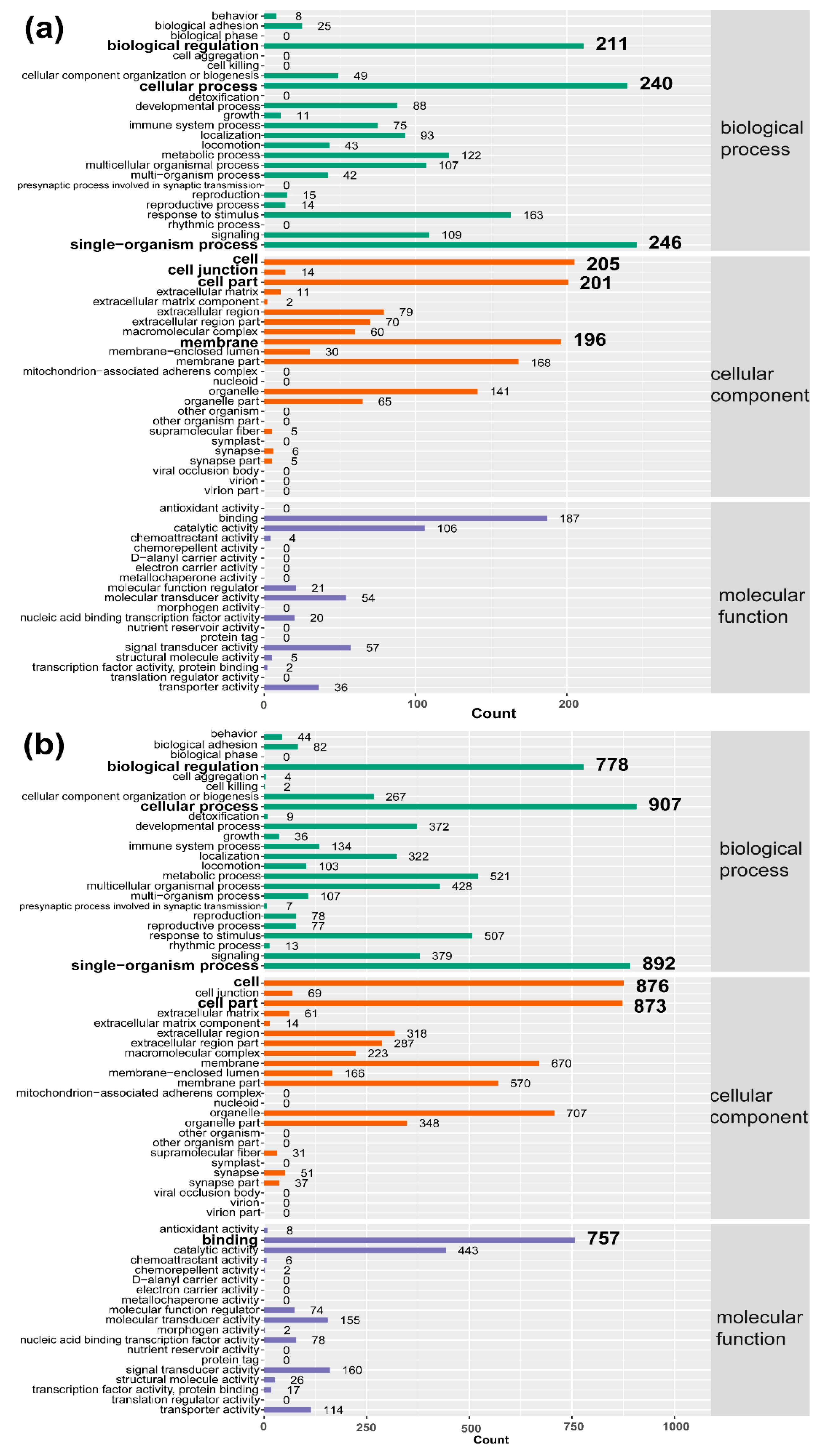 Ijms 19 02328 g004 Ijms 19 02328 g004
