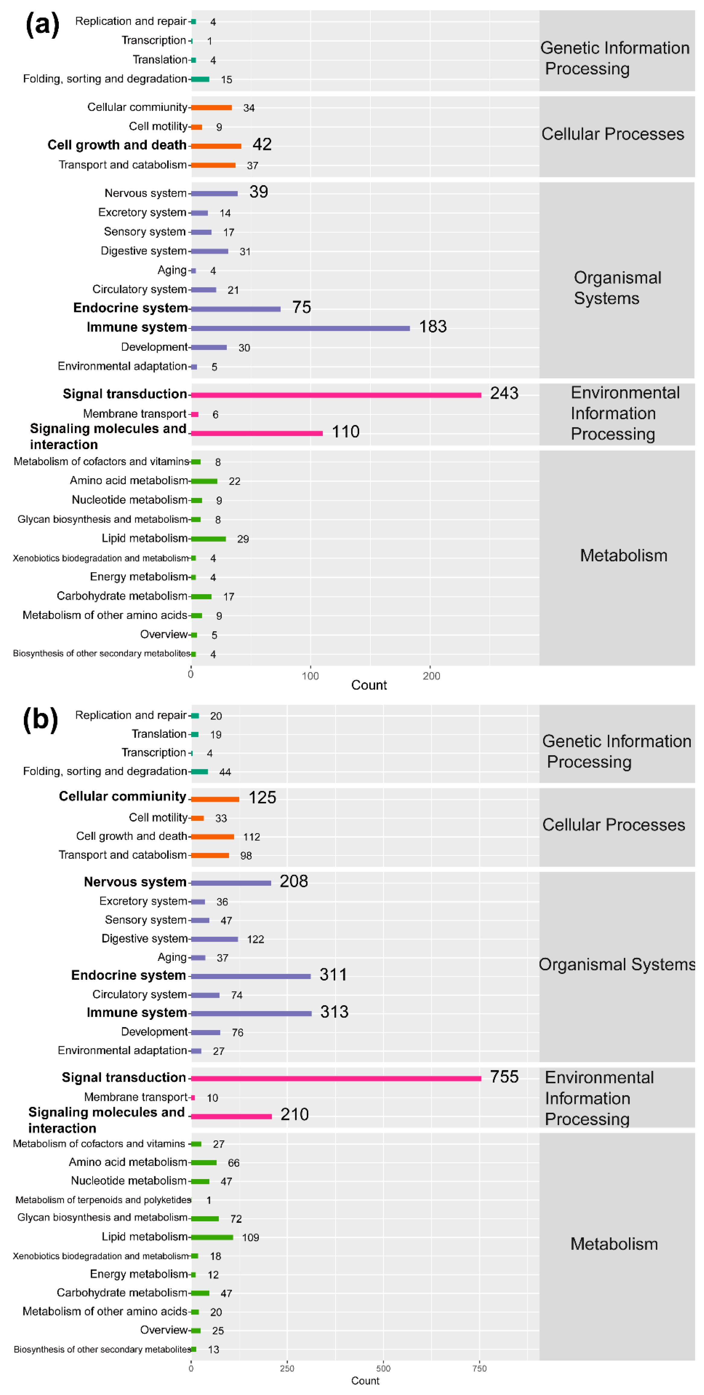 Ijms 19 02328 g005 Ijms 19 02328 g005