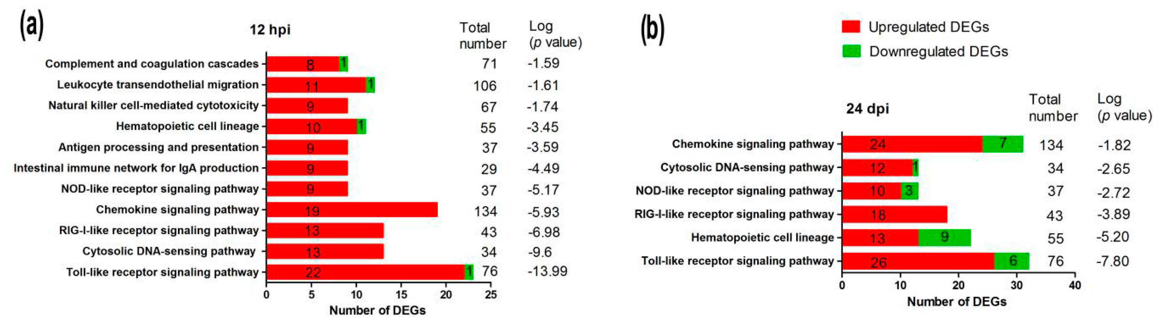 Ijms 19 02328 g006 Ijms 19 02328 g006