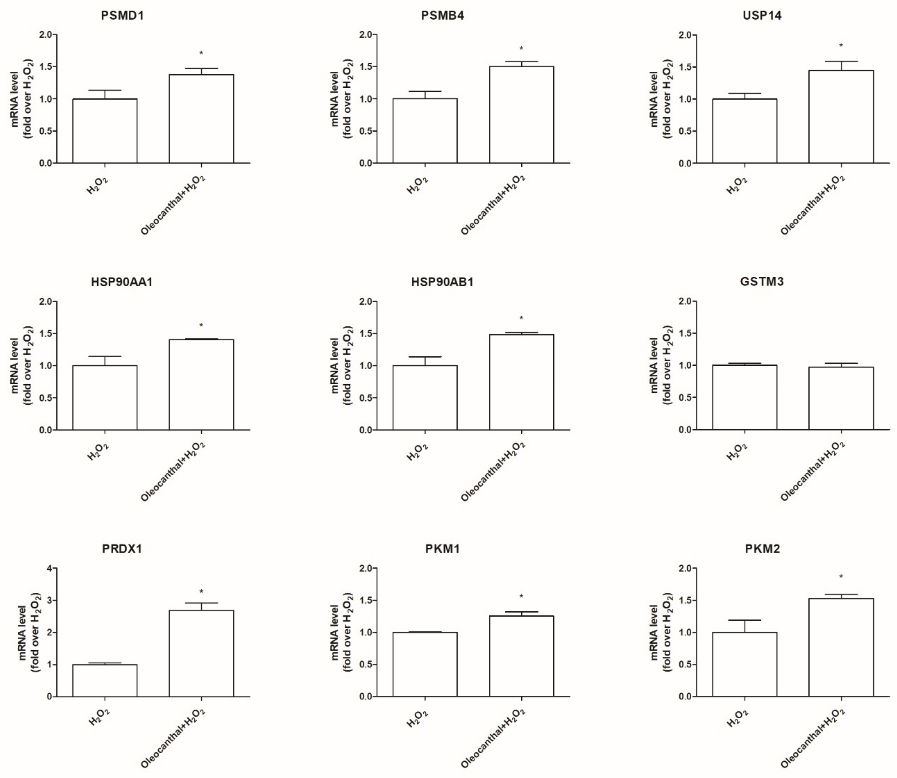 Ijms 19 02329 g007 Ijms 19 02329 g007