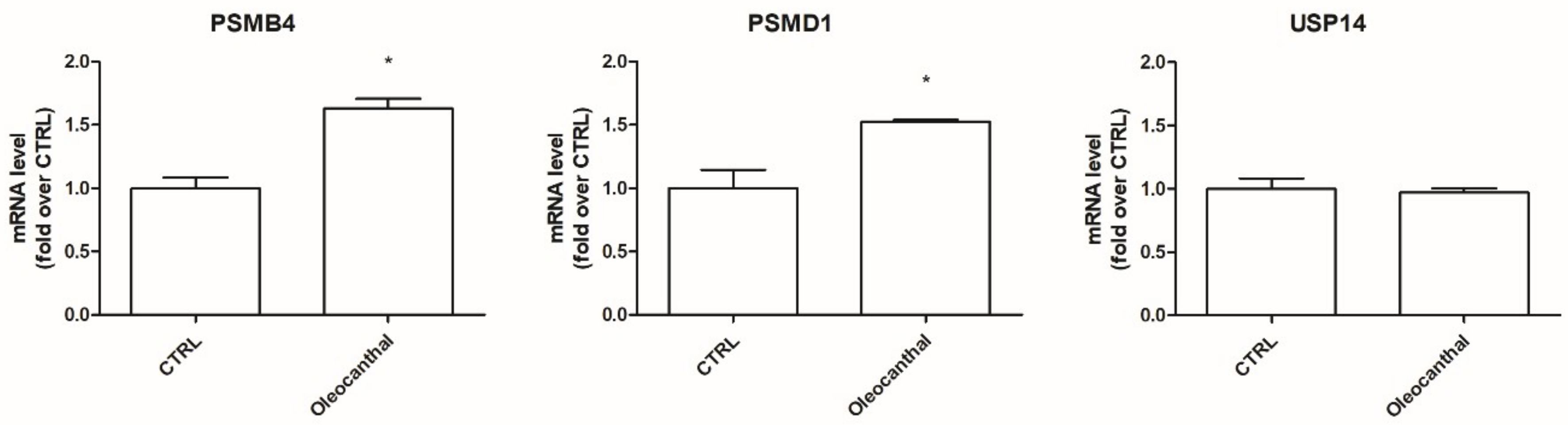 Ijms 19 02329 g008 Ijms 19 02329 g008