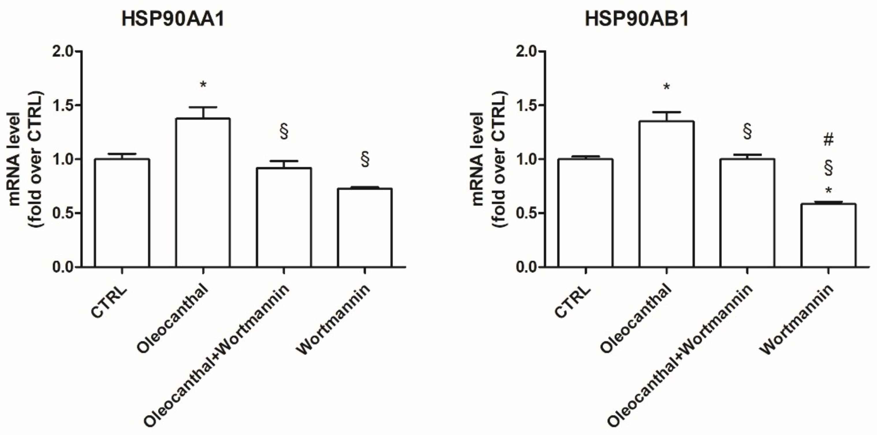 Ijms 19 02329 g010 Ijms 19 02329 g010