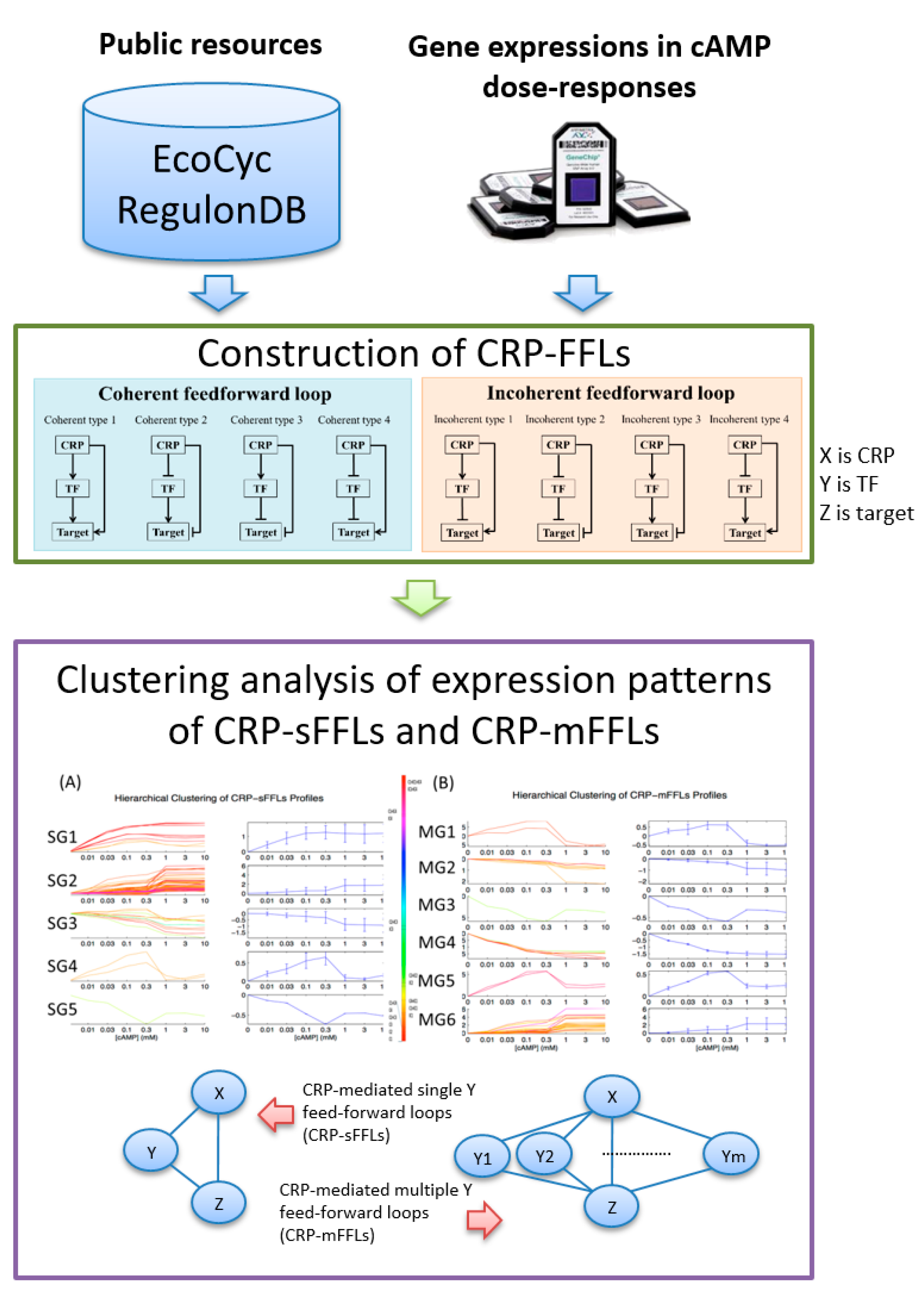Ijms 19 02335 g001 Ijms 19 02335 g001