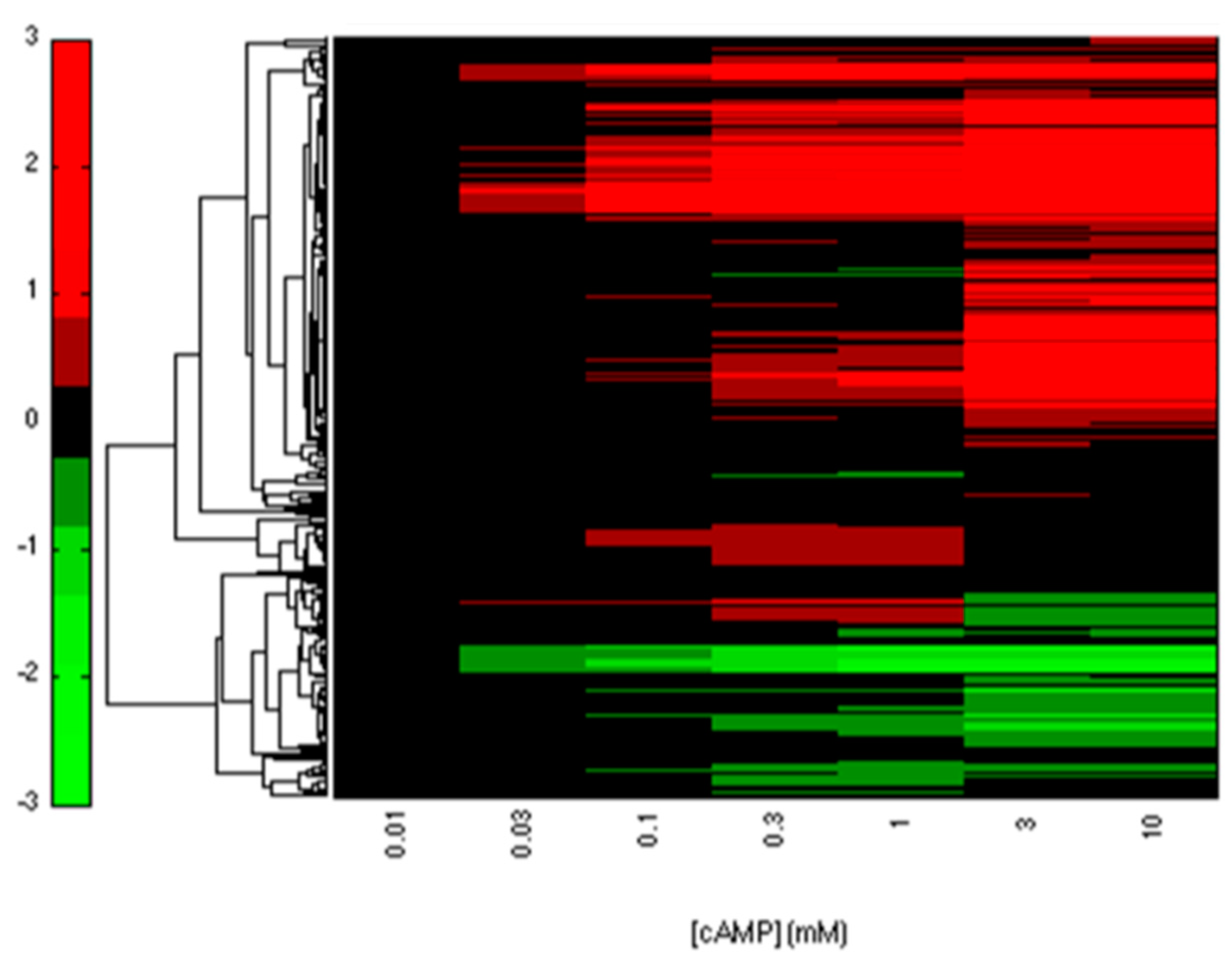 Ijms 19 02335 g002 Ijms 19 02335 g002
