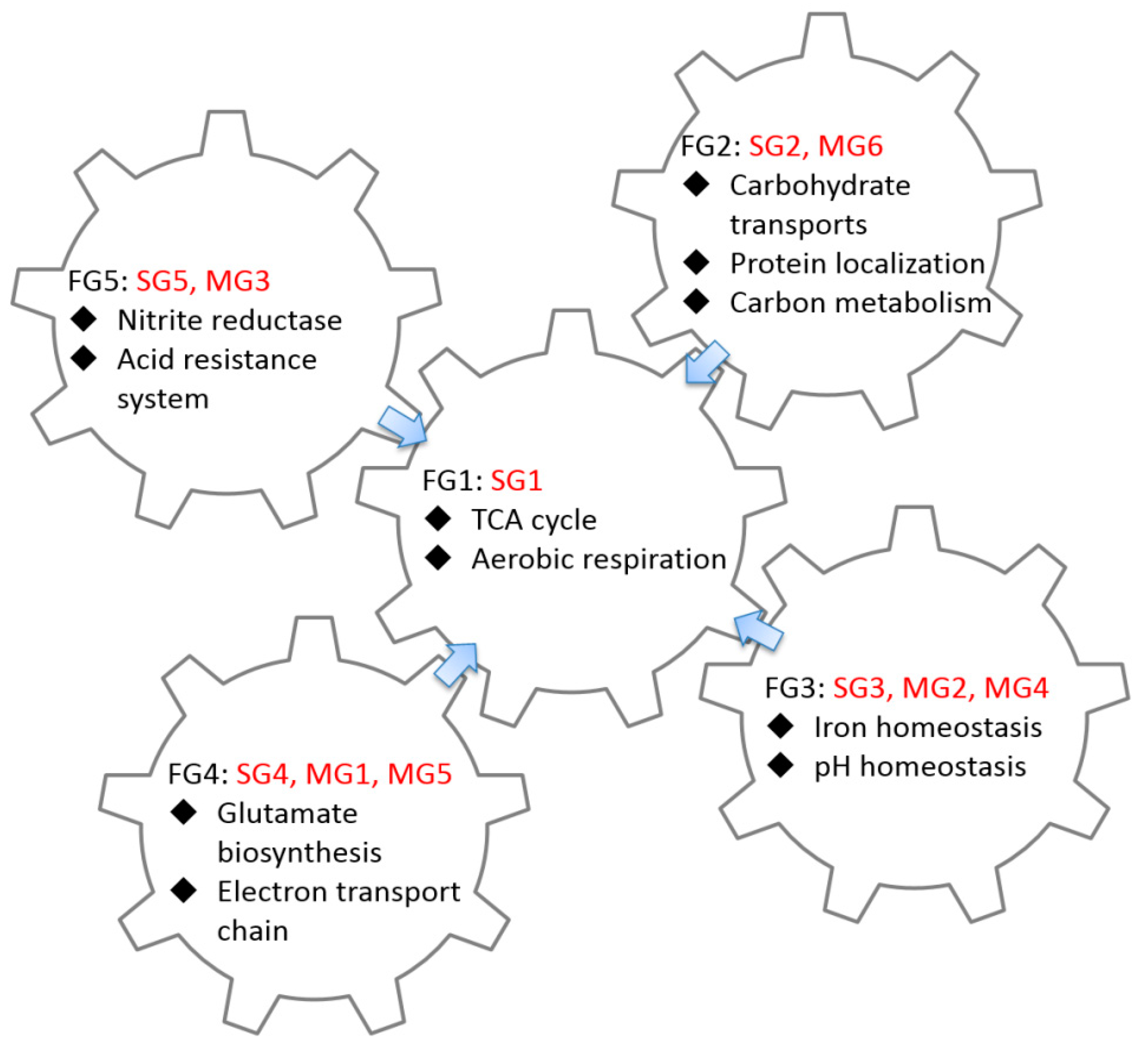 Ijms 19 02335 g005 Ijms 19 02335 g005