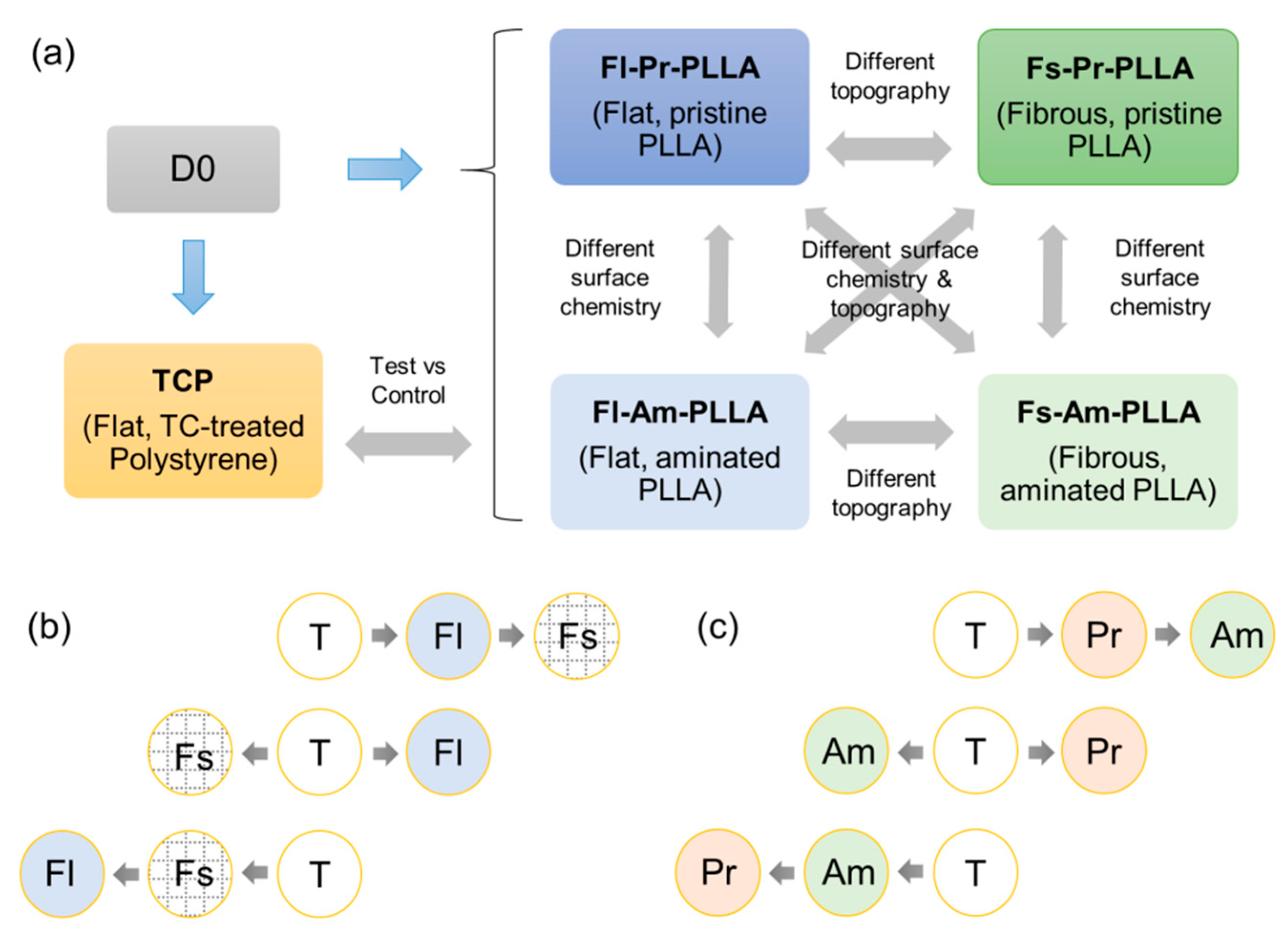 Ijms 19 02344 g001 Ijms 19 02344 g001