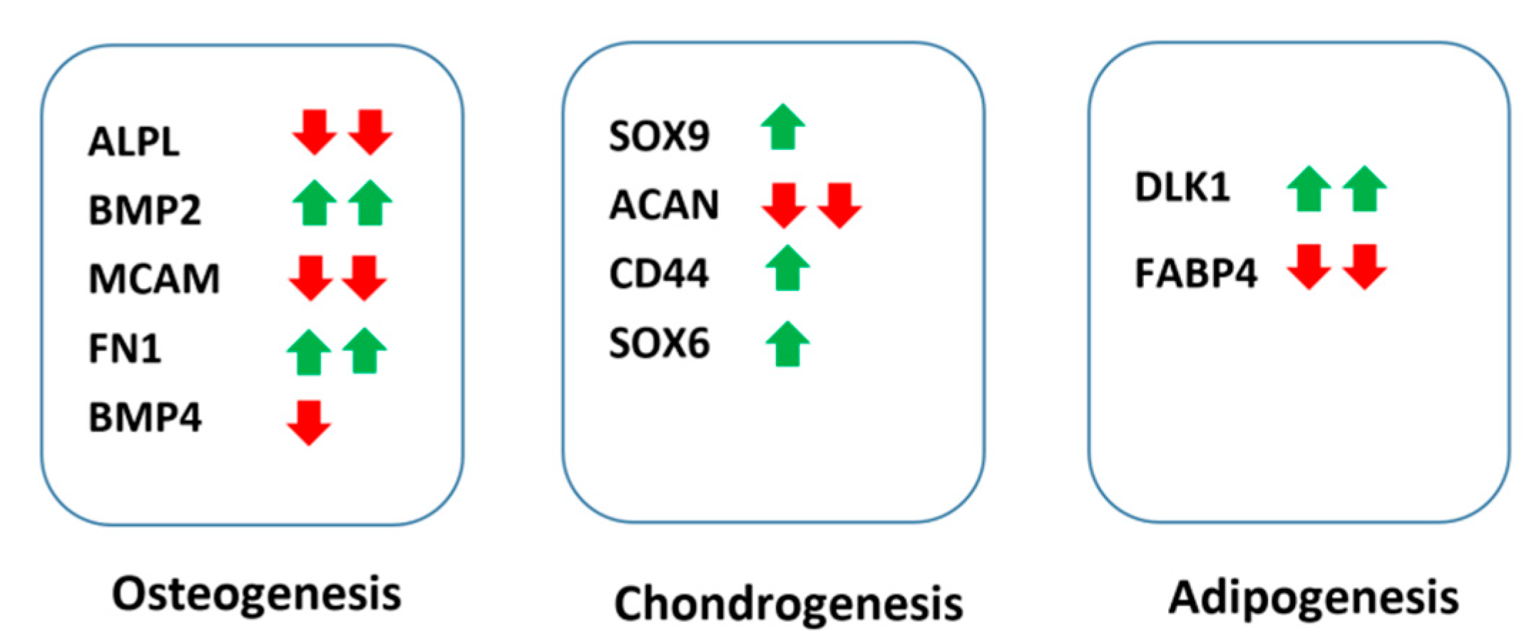 Ijms 19 02344 g006 Ijms 19 02344 g006