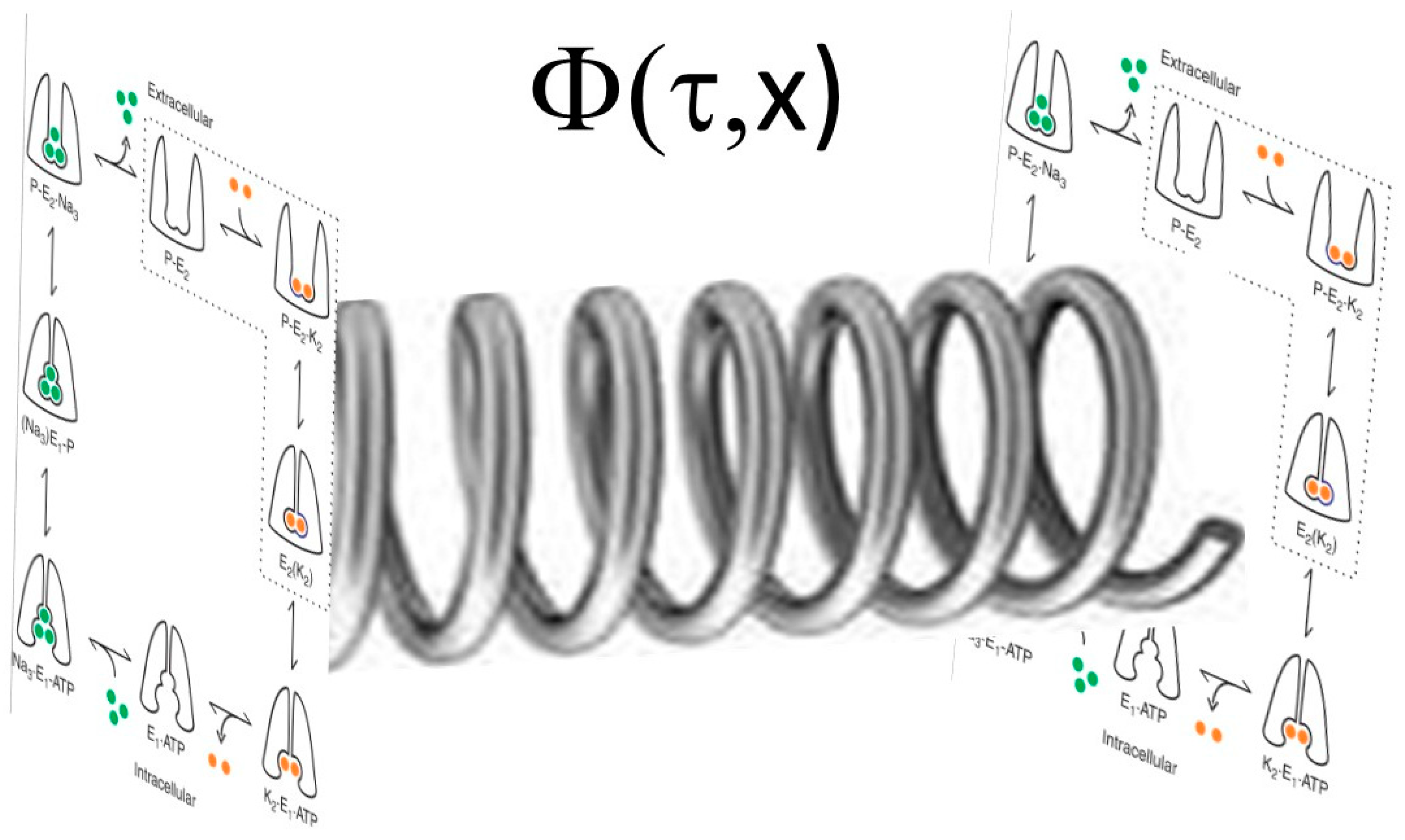 Ijms 19 02347 g002 Ijms 19 02347 g002