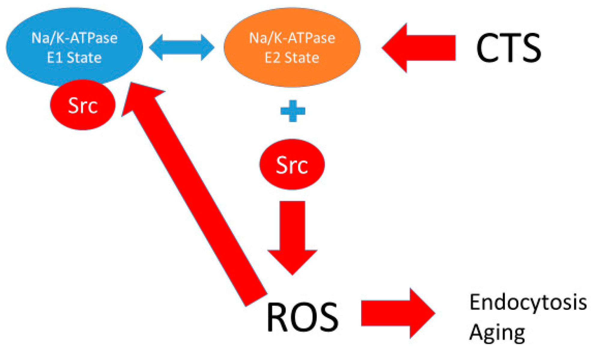 Ijms 19 02347 g005 Ijms 19 02347 g005