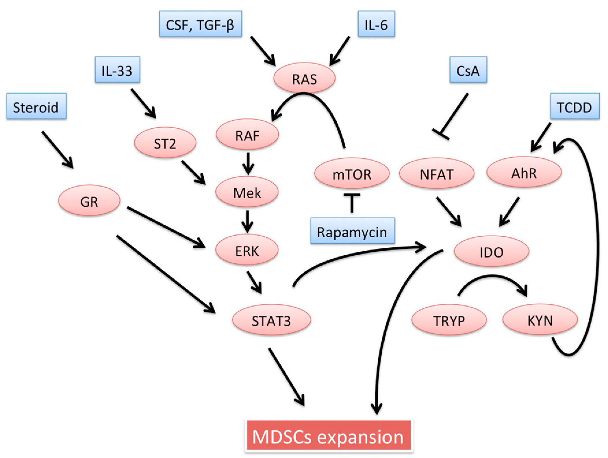 Ijms 19 02357 g001 Ijms 19 02357 g001