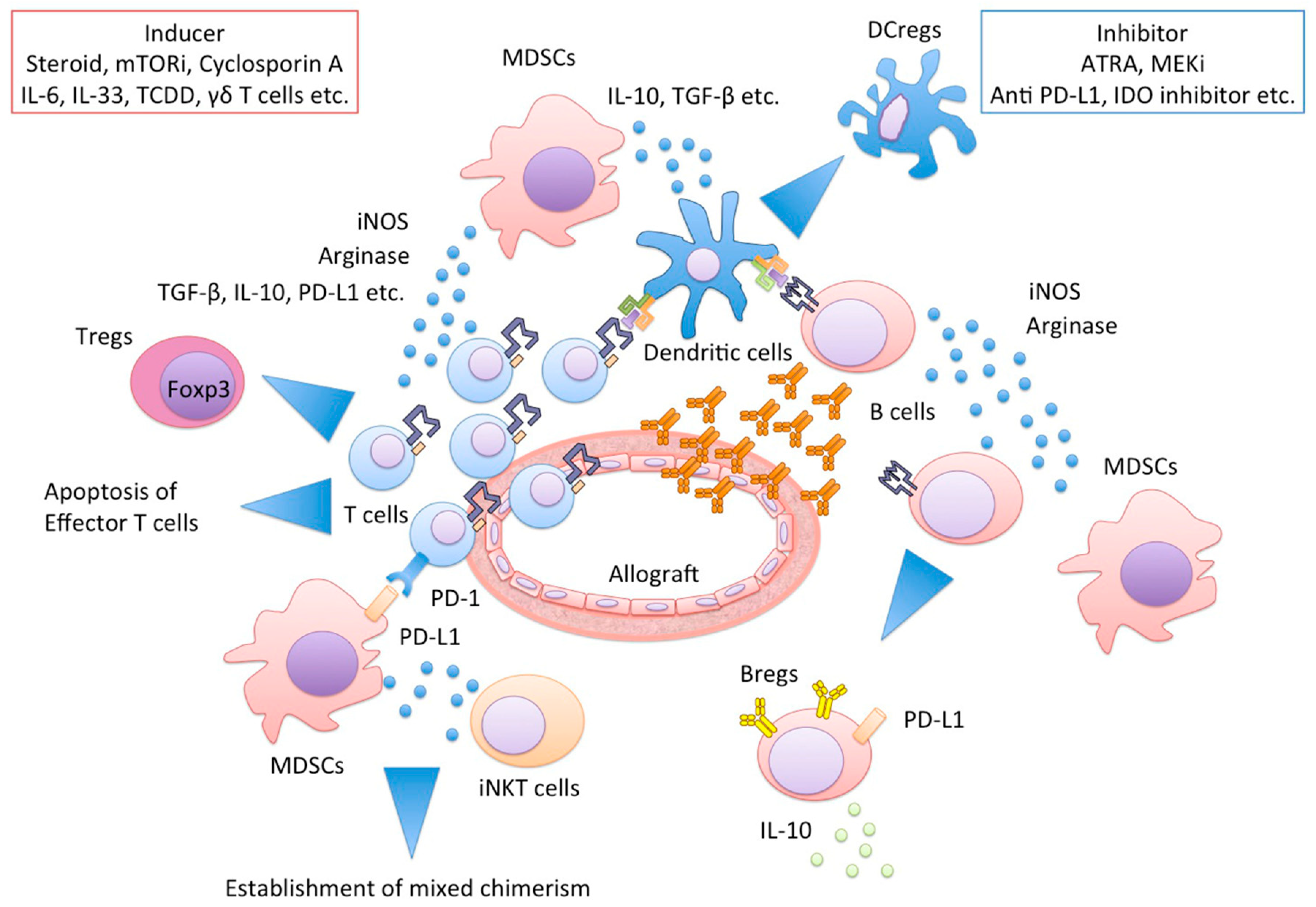 Ijms 19 02357 g002 Ijms 19 02357 g002