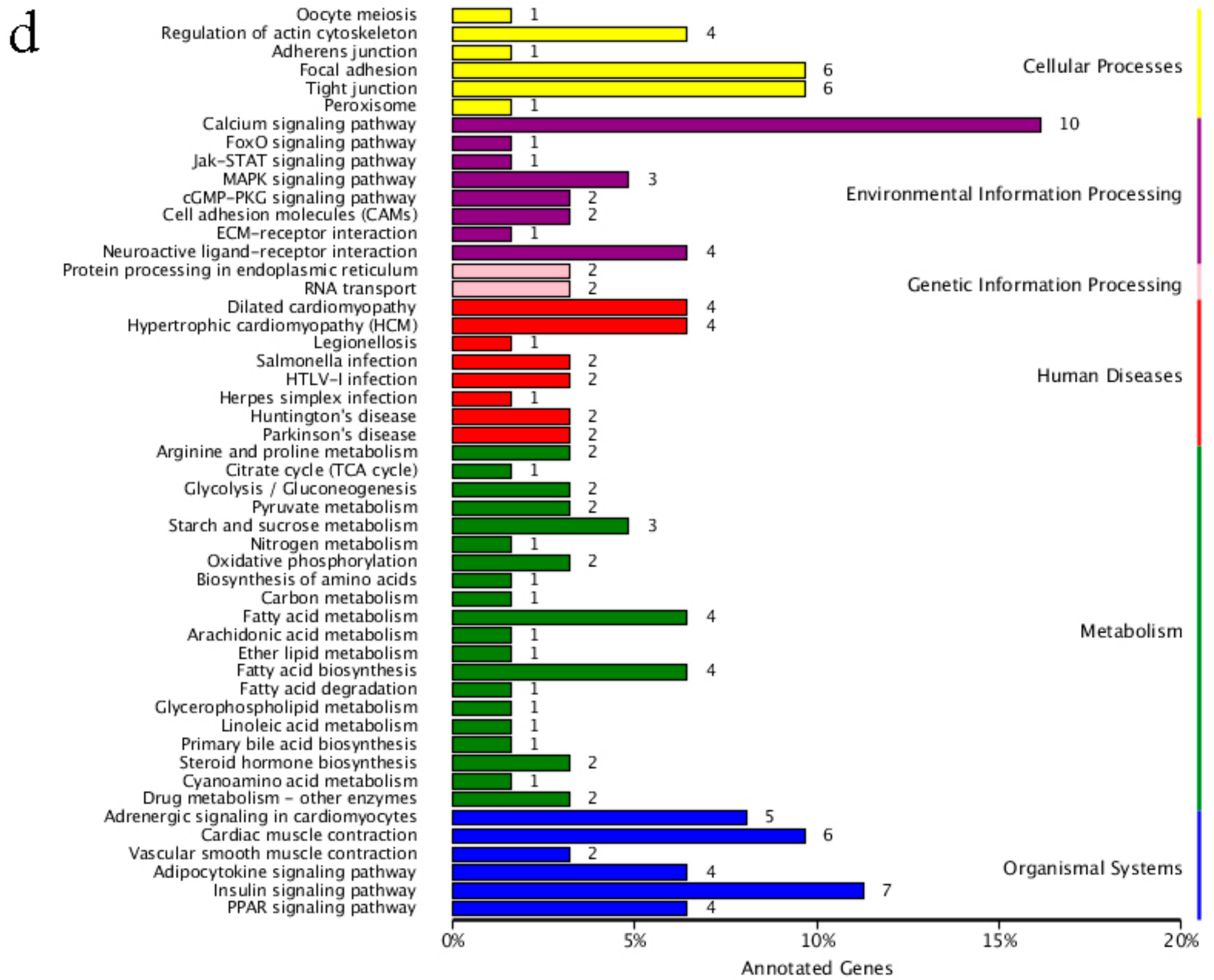 Ijms 19 02363 g003b Ijms 19 02363 g003b