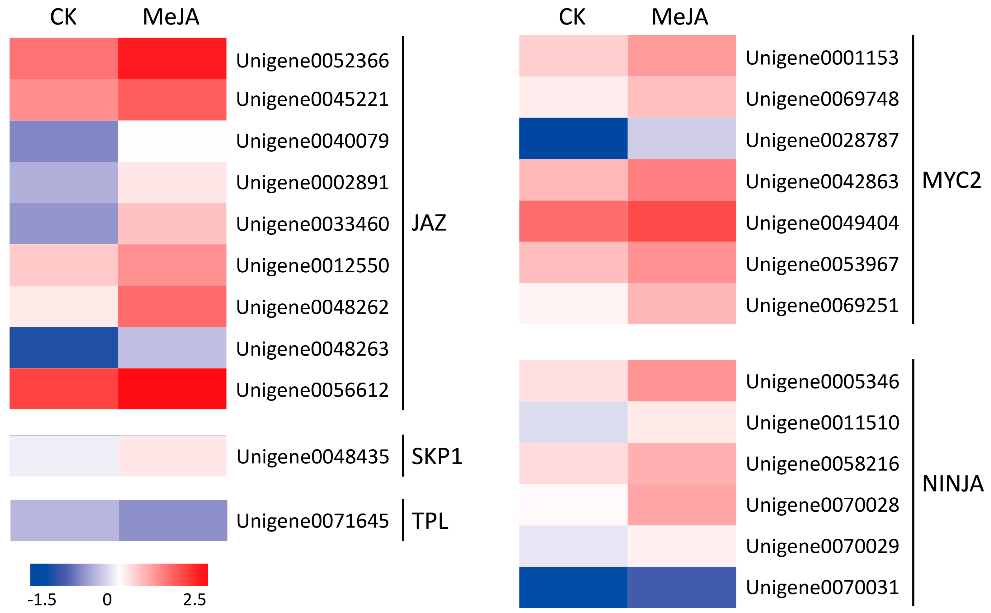 Ijms 19 02364 g003 Ijms 19 02364 g003