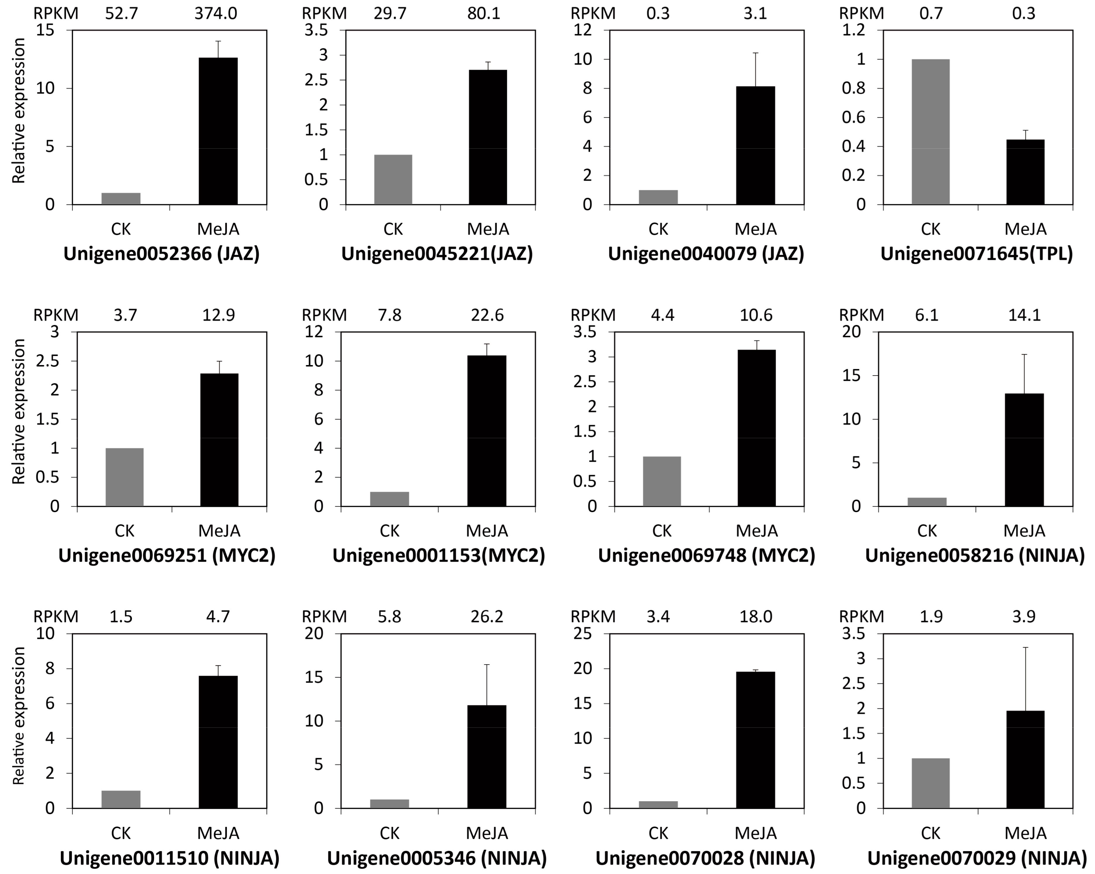 Ijms 19 02364 g004 Ijms 19 02364 g004