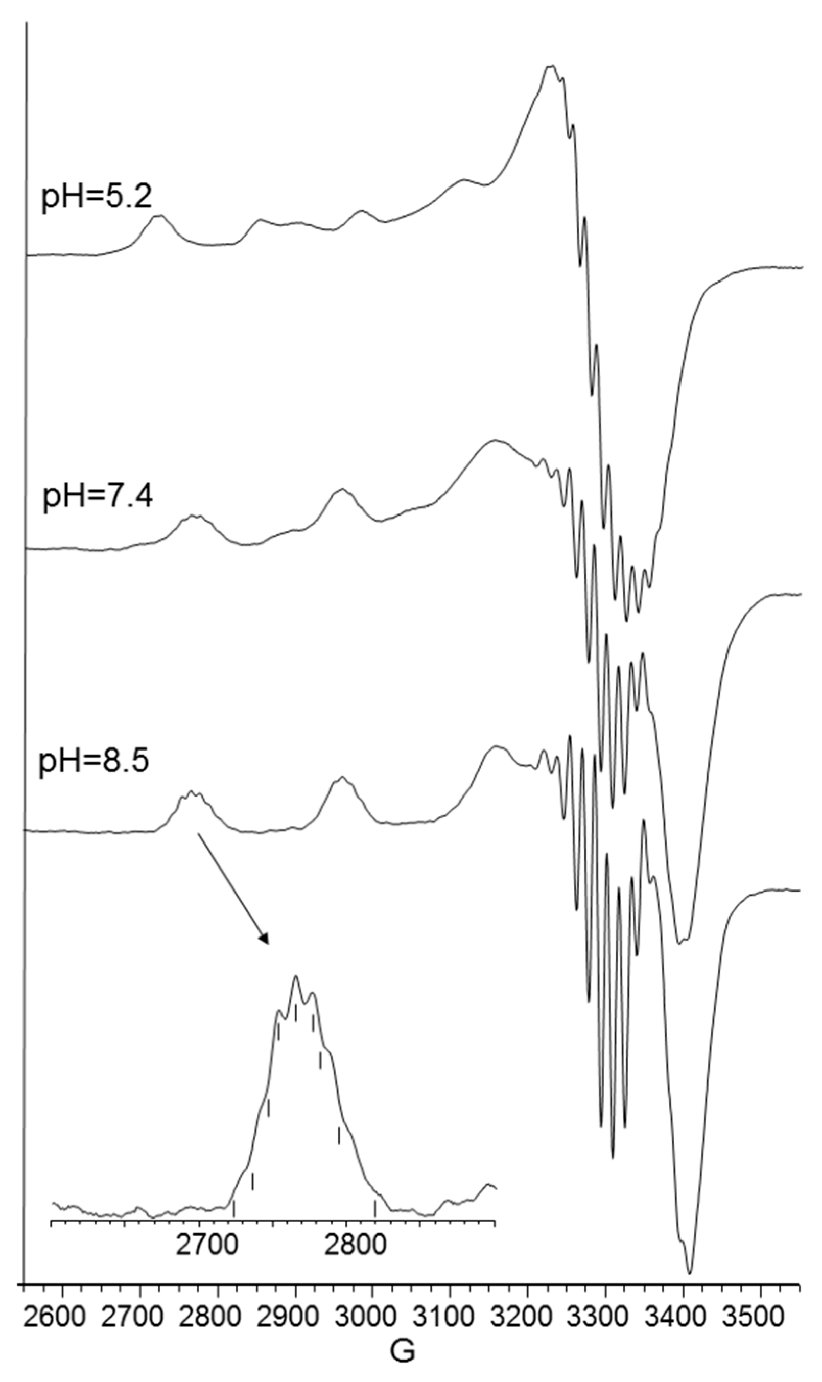 Ijms 19 02374 g005 Ijms 19 02374 g005