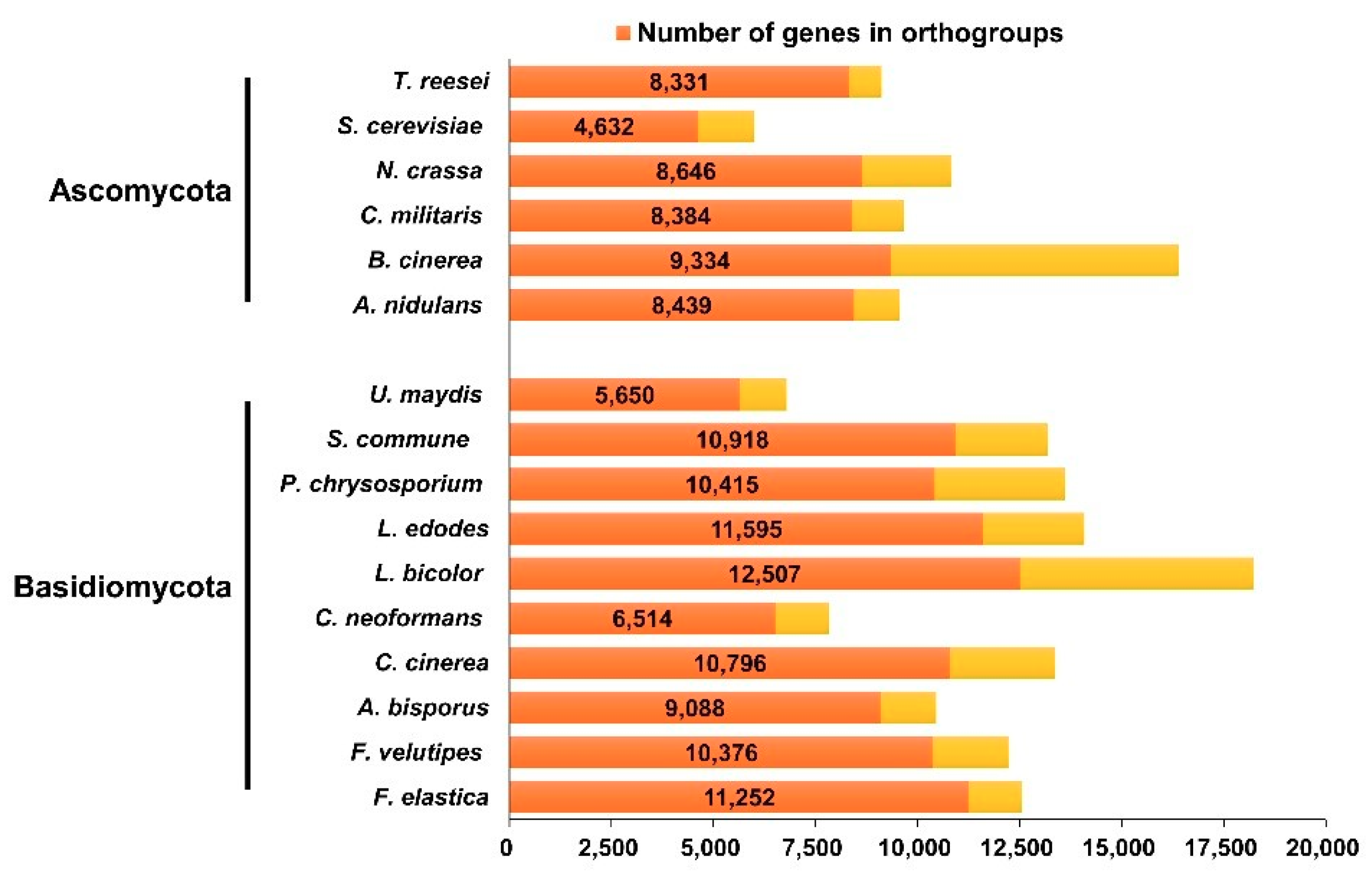 Ijms 19 02379 g001 Ijms 19 02379 g001