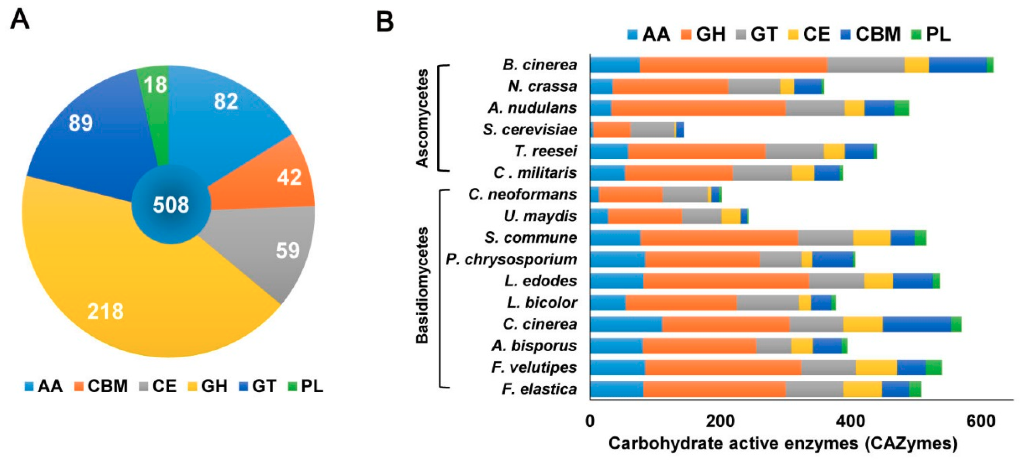Ijms 19 02379 g003 Ijms 19 02379 g003