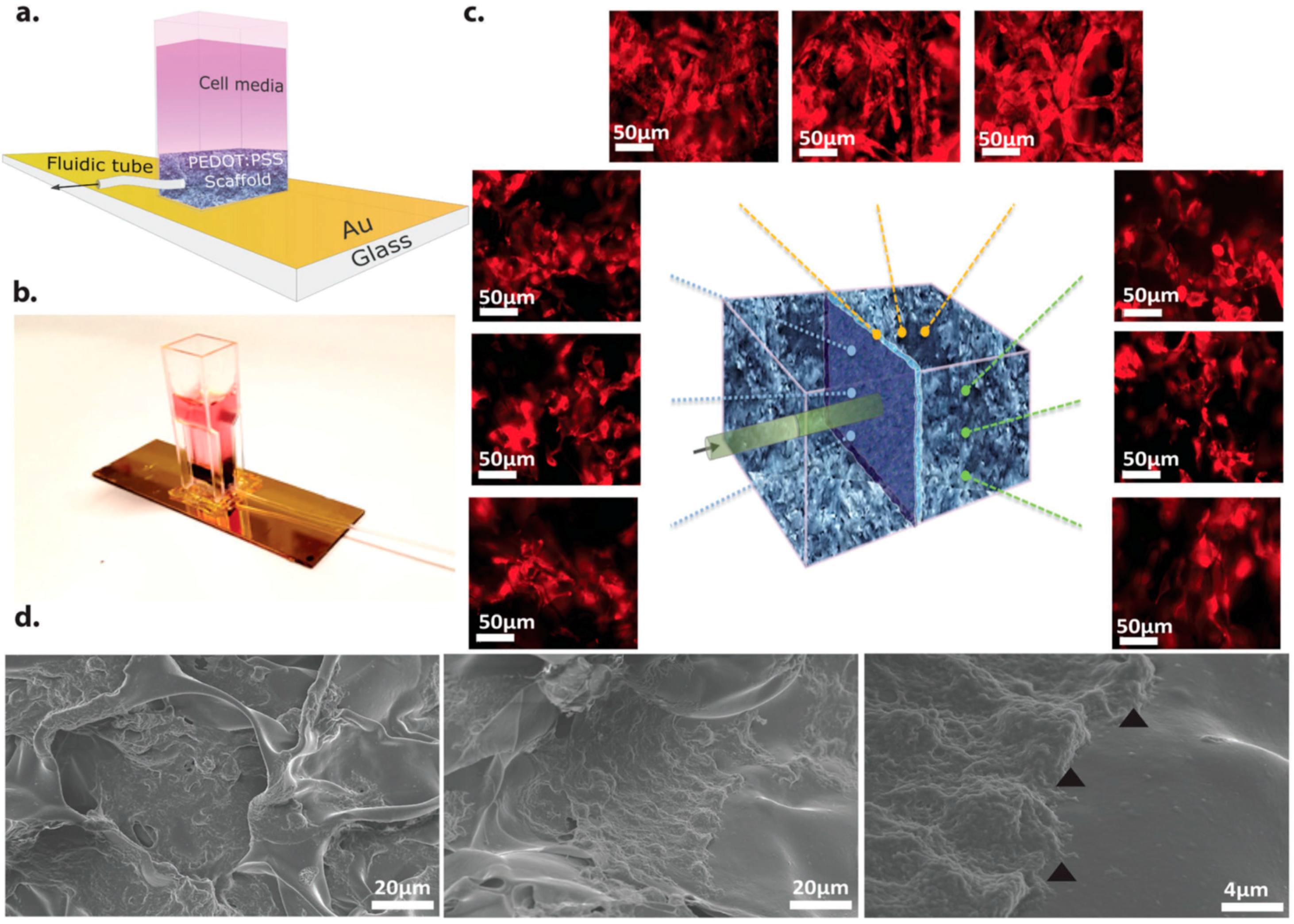 Ijms 19 02382 g002 Ijms 19 02382 g002