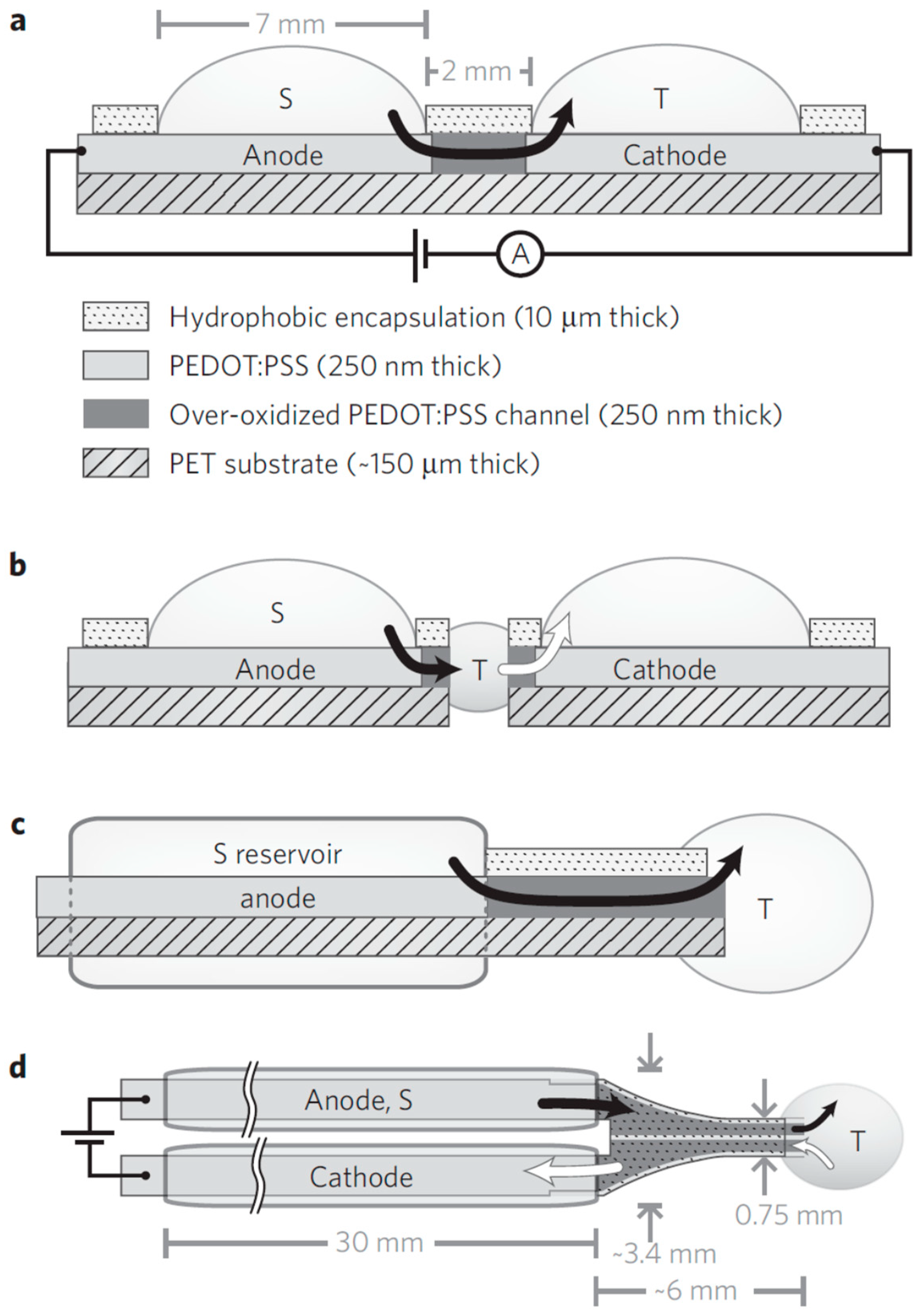Ijms 19 02382 g005 Ijms 19 02382 g005