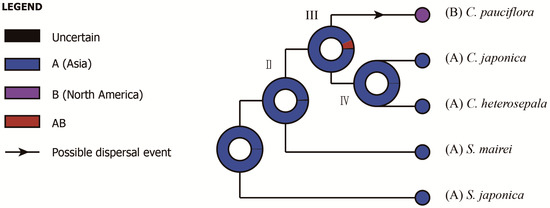 IJMS | Special Issue : Chloroplast