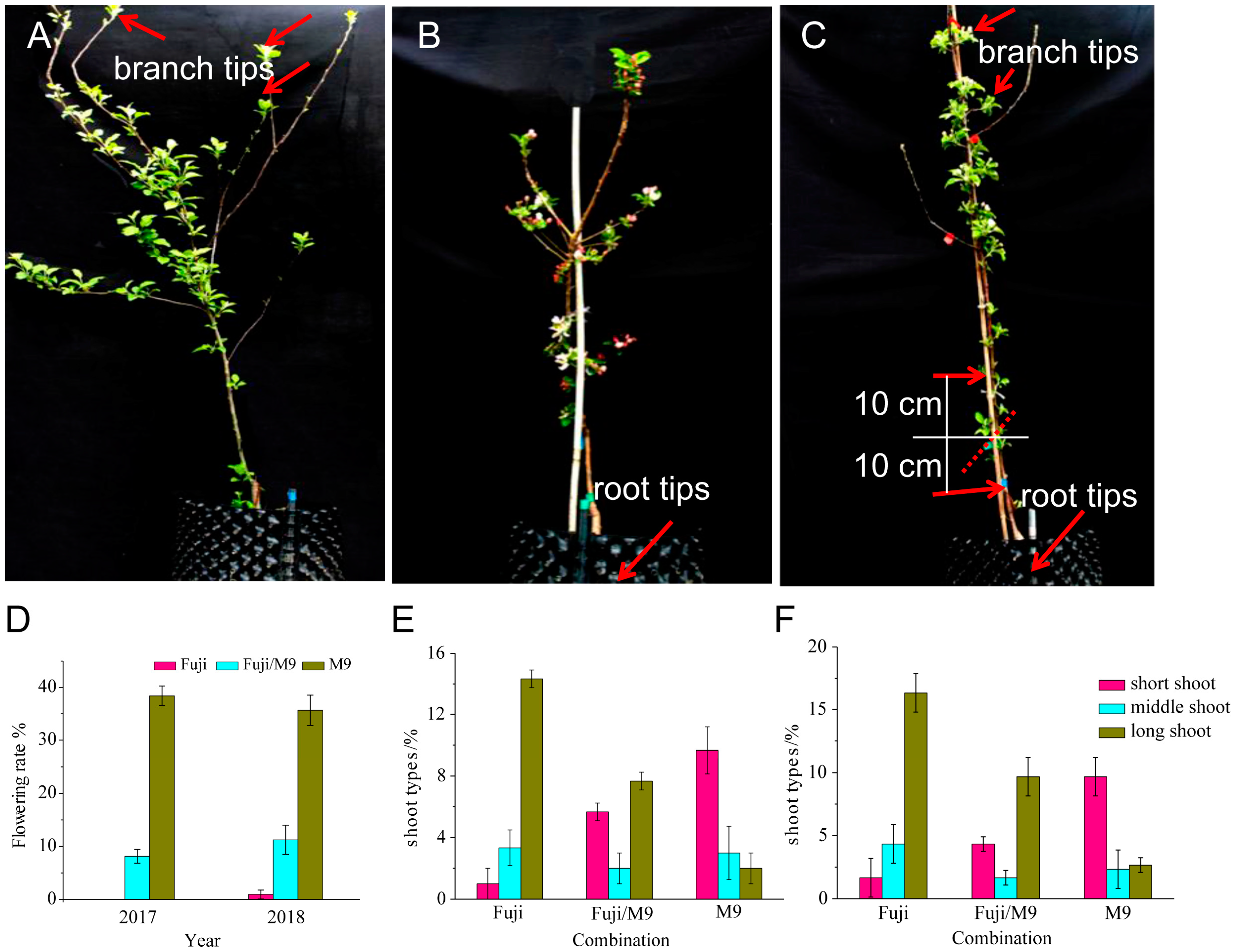 Ijms 19 02384 g001 Ijms 19 02384 g001