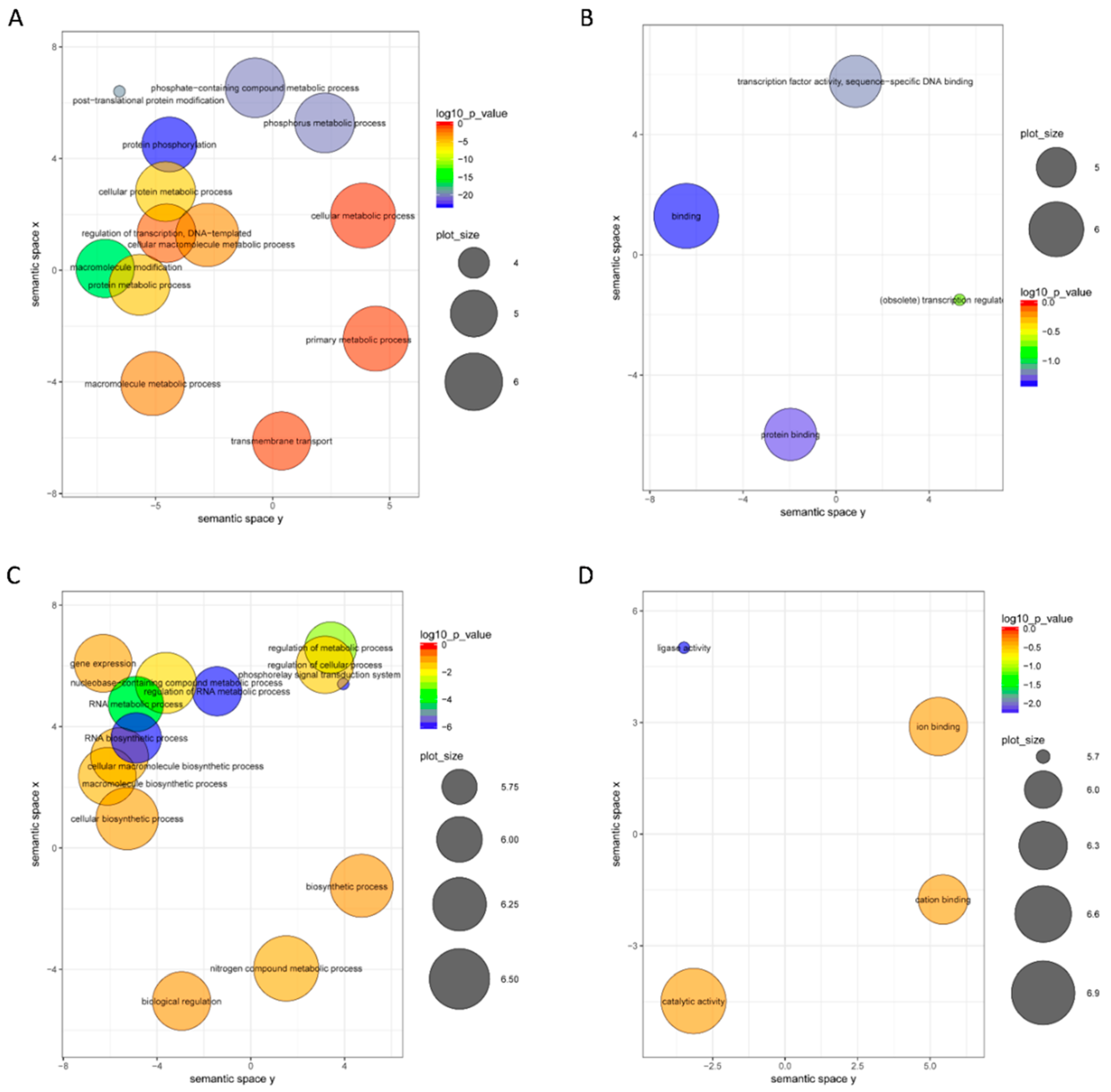 Ijms 19 02384 g007 Ijms 19 02384 g007