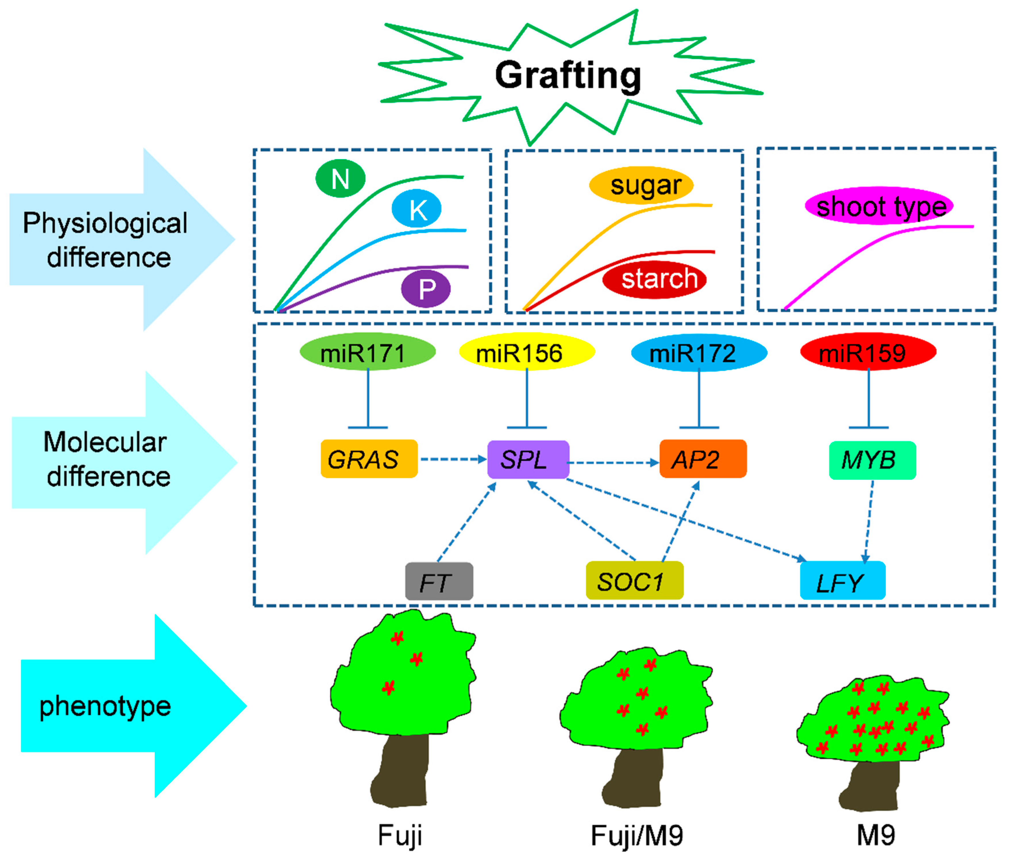 Ijms 19 02384 g010 Ijms 19 02384 g010