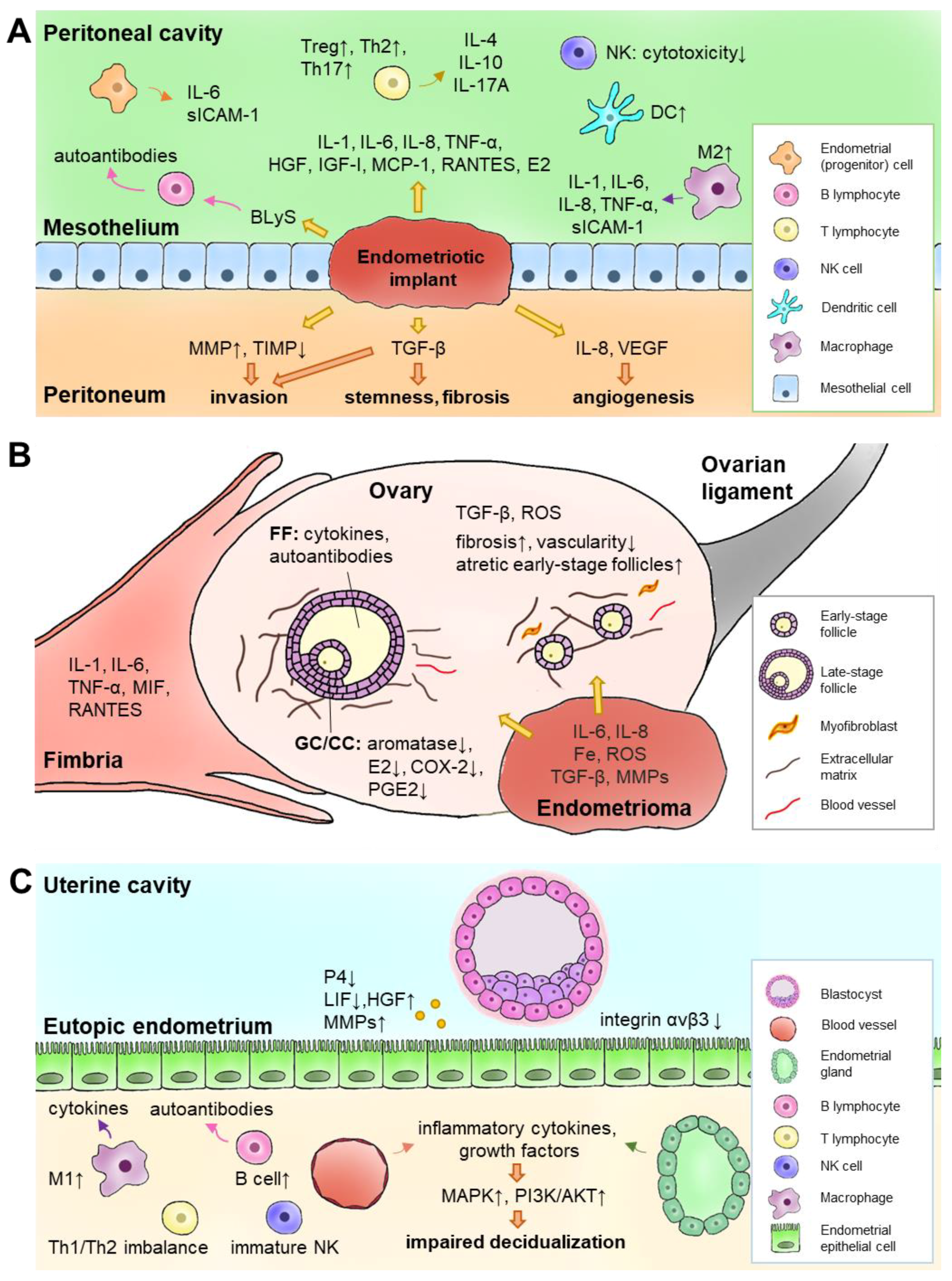 ãSerum concentrations of growth factors in women with and without endometriosis: the action of anti-endometriosis medicinesãã®ç»åæ¤ç´¢çµæ