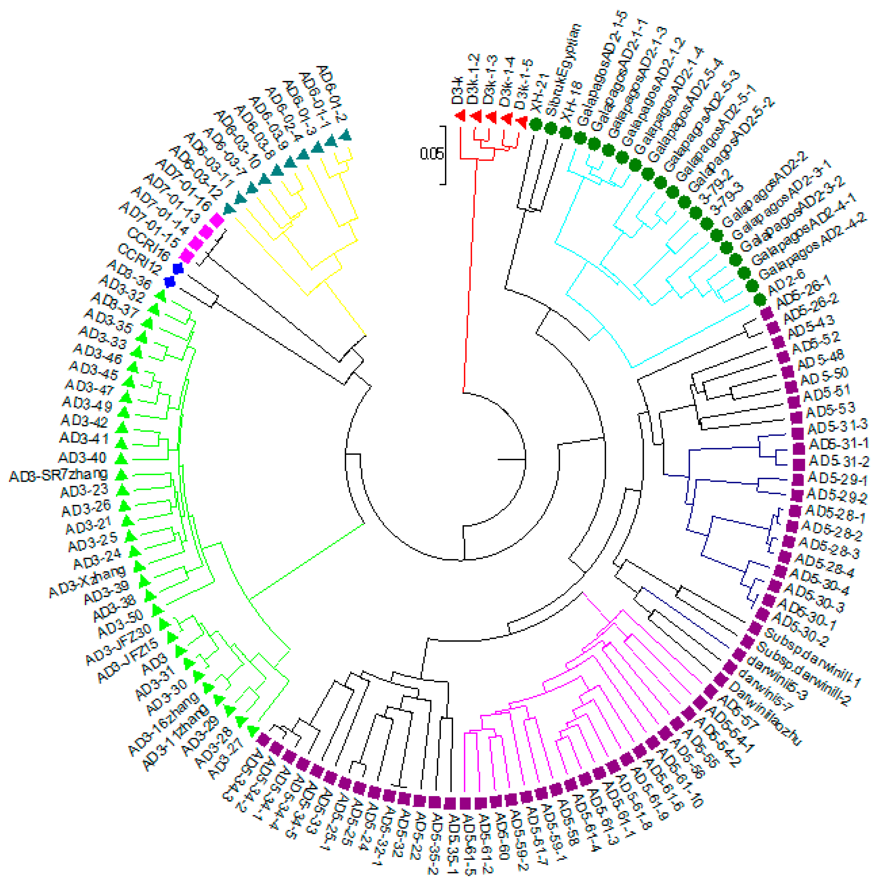 Ijms 19 02401 g005 Ijms 19 02401 g005