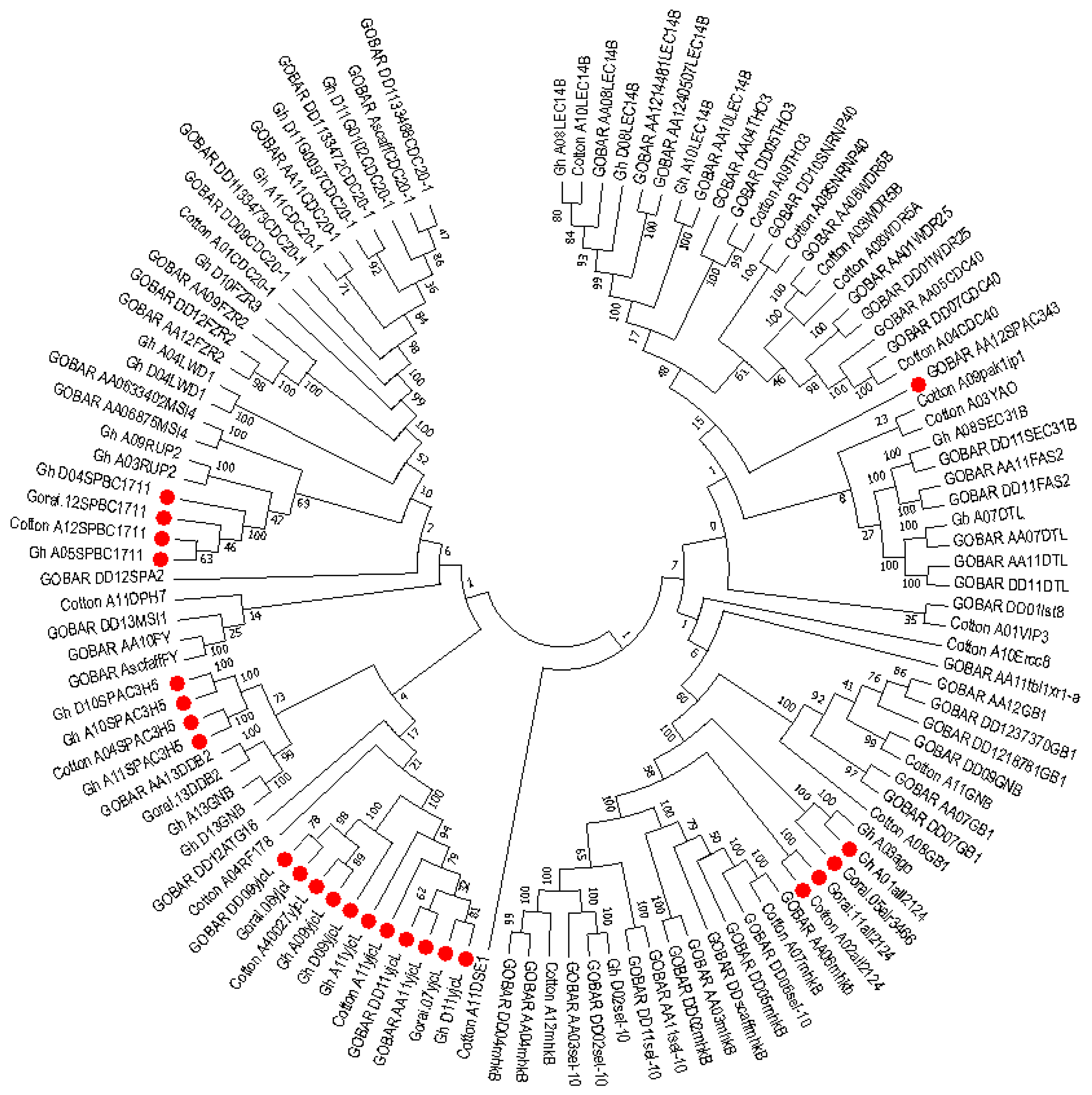 Ijms 19 02401 g007 Ijms 19 02401 g007