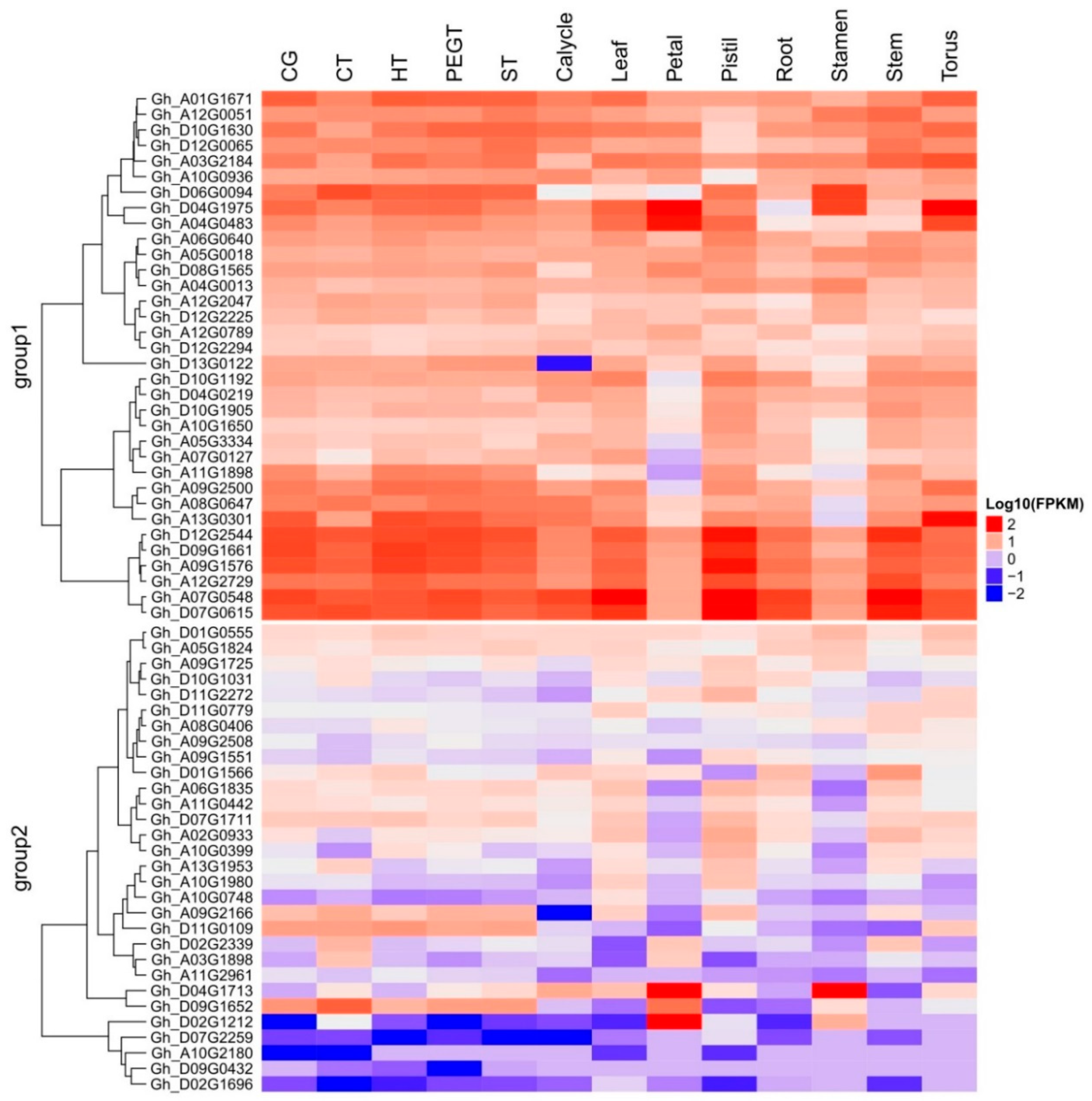 Ijms 19 02401 g009 Ijms 19 02401 g009
