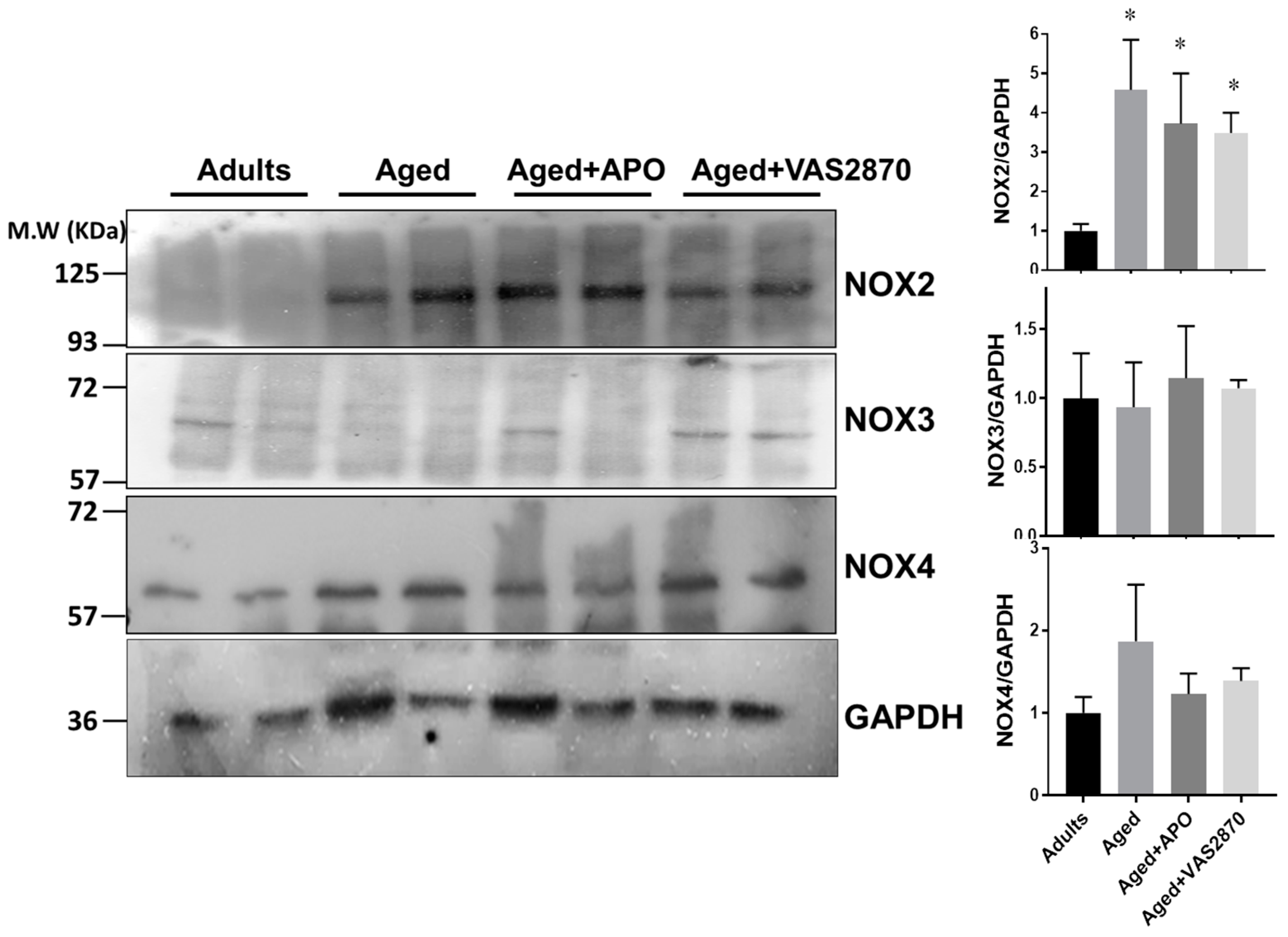 Ijms 19 02404 g006 Ijms 19 02404 g006