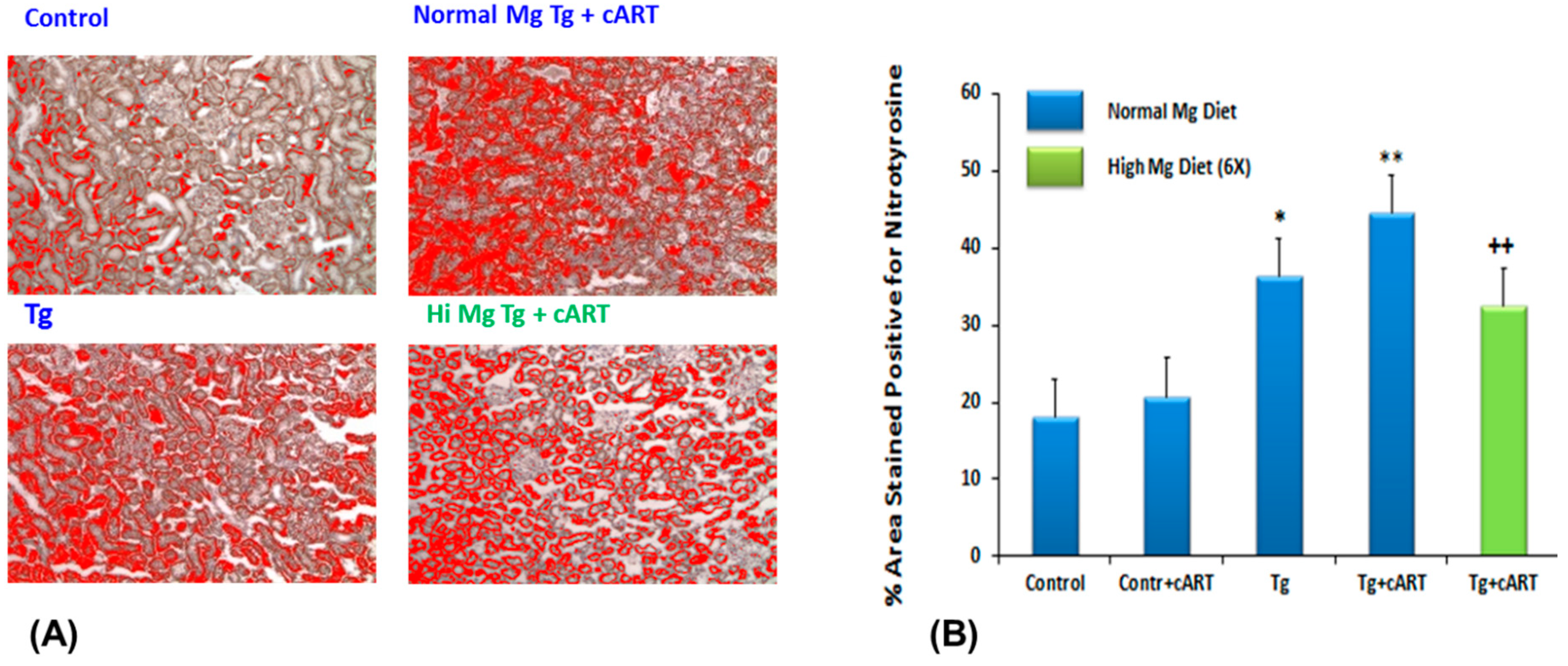 Ijms 19 02409 g008 Ijms 19 02409 g008