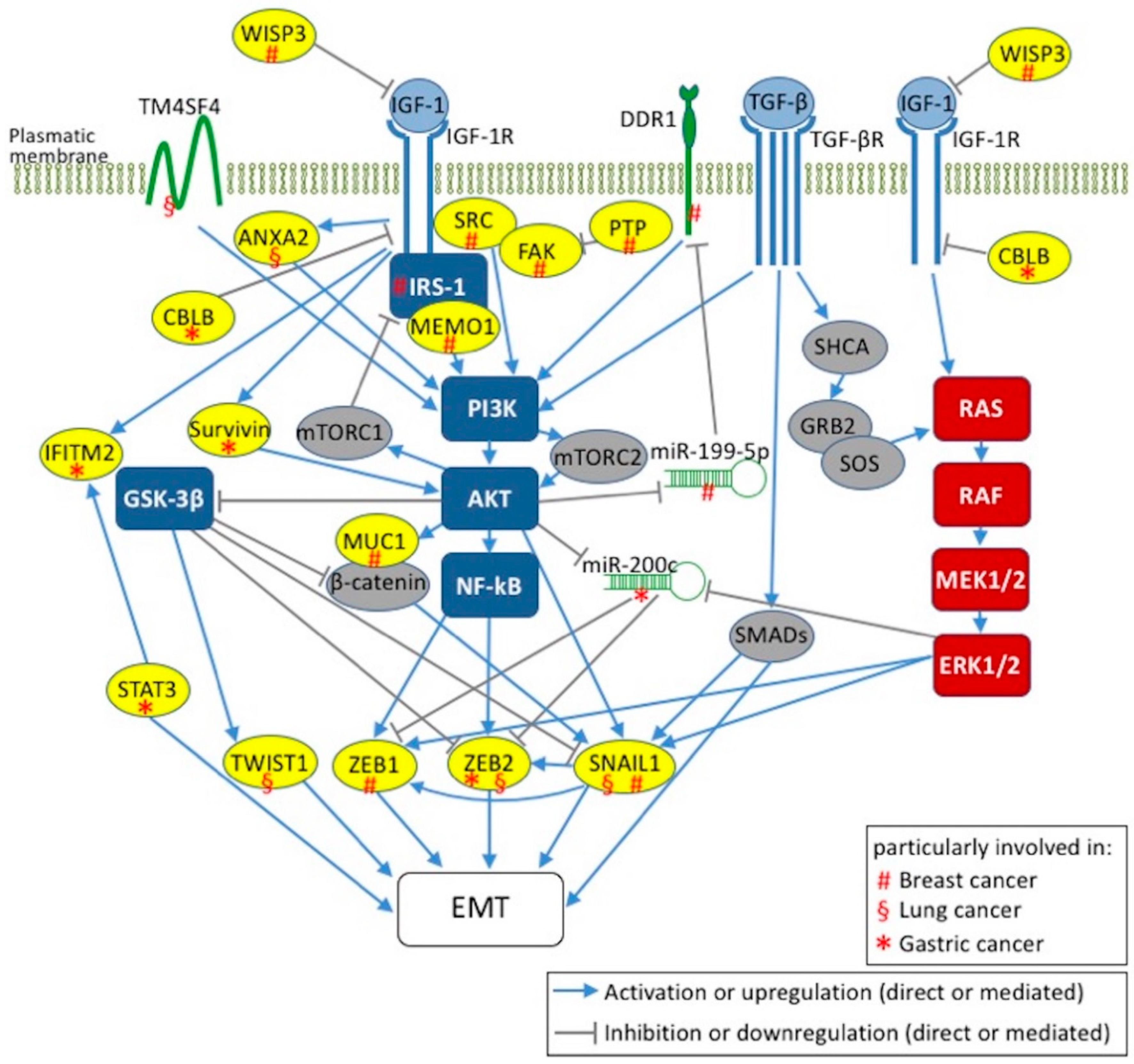 Ijms 19 02411 g001 Ijms 19 02411 g001