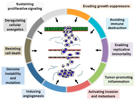 ぱんだ Hallmarks of Cancer-Related Newly Prognostic Factors of Oral