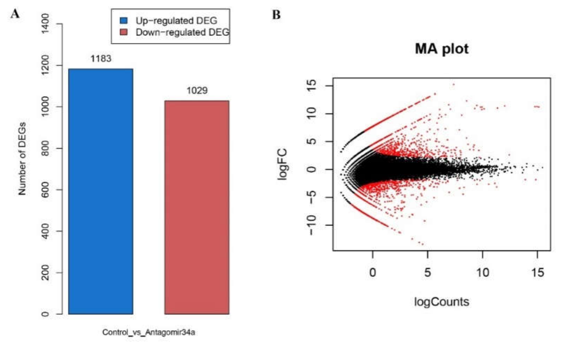 Ijms 19 02417 g004 Ijms 19 02417 g004