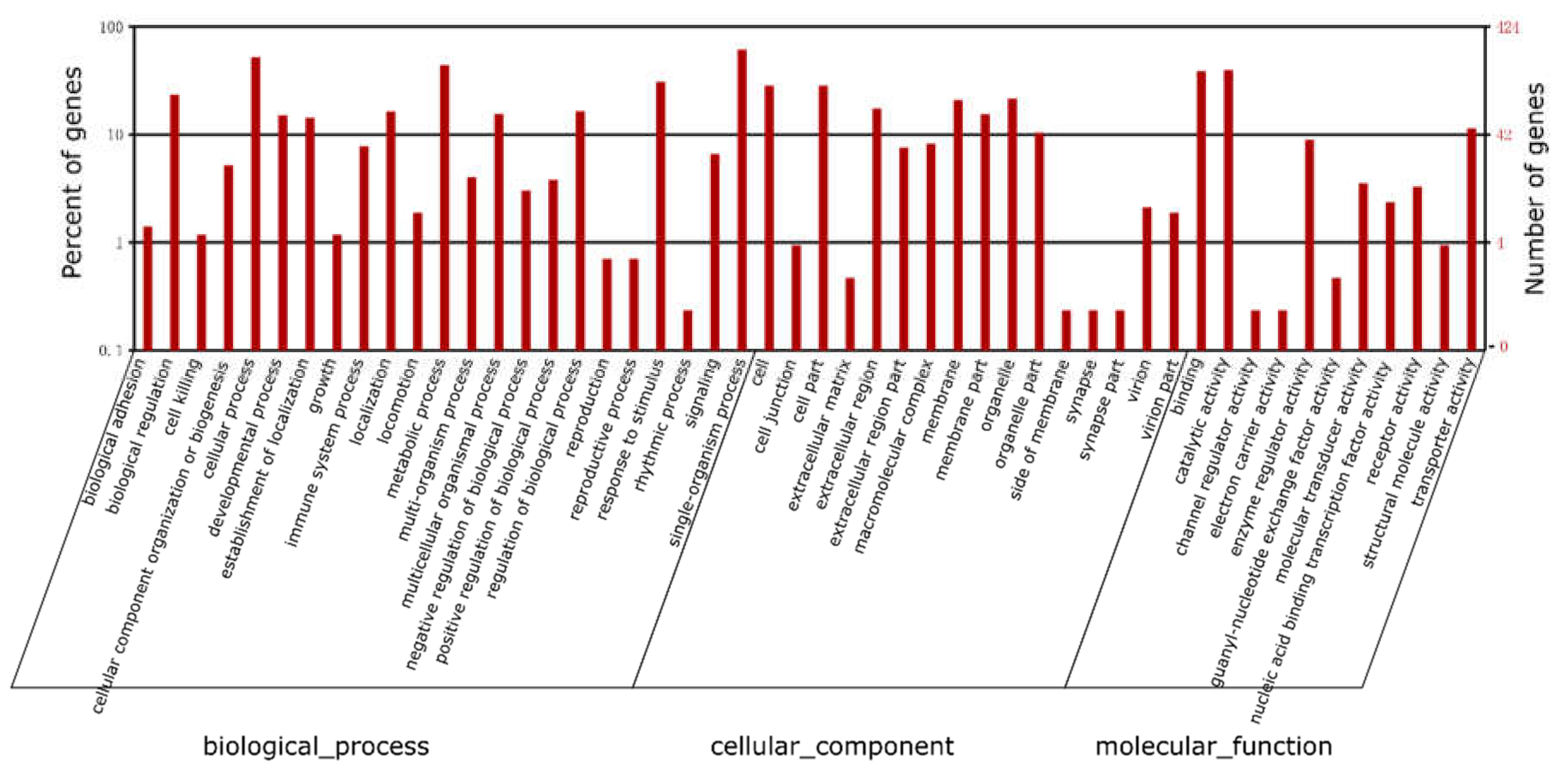 IJMS | Free Full-Text | In Vivo Analysis of miR-34a Regulated 