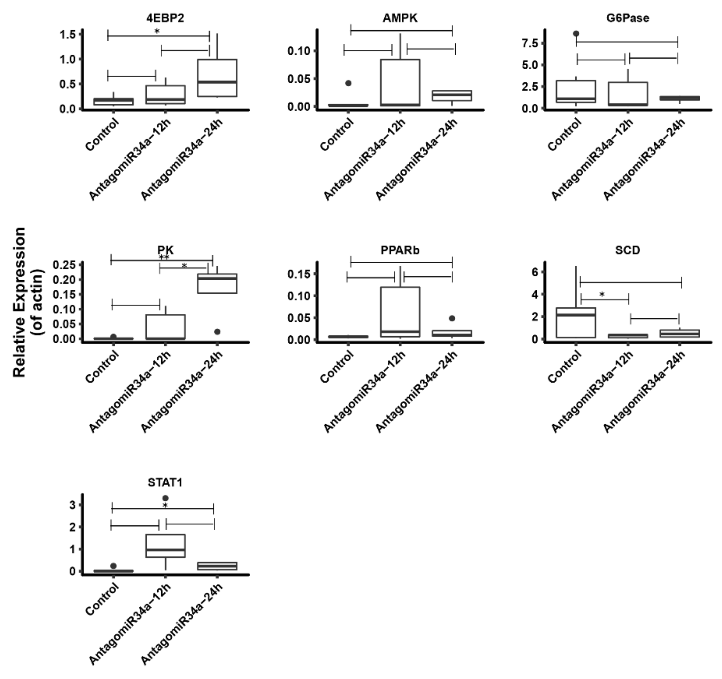 Ijms 19 02417 g008 Ijms 19 02417 g008