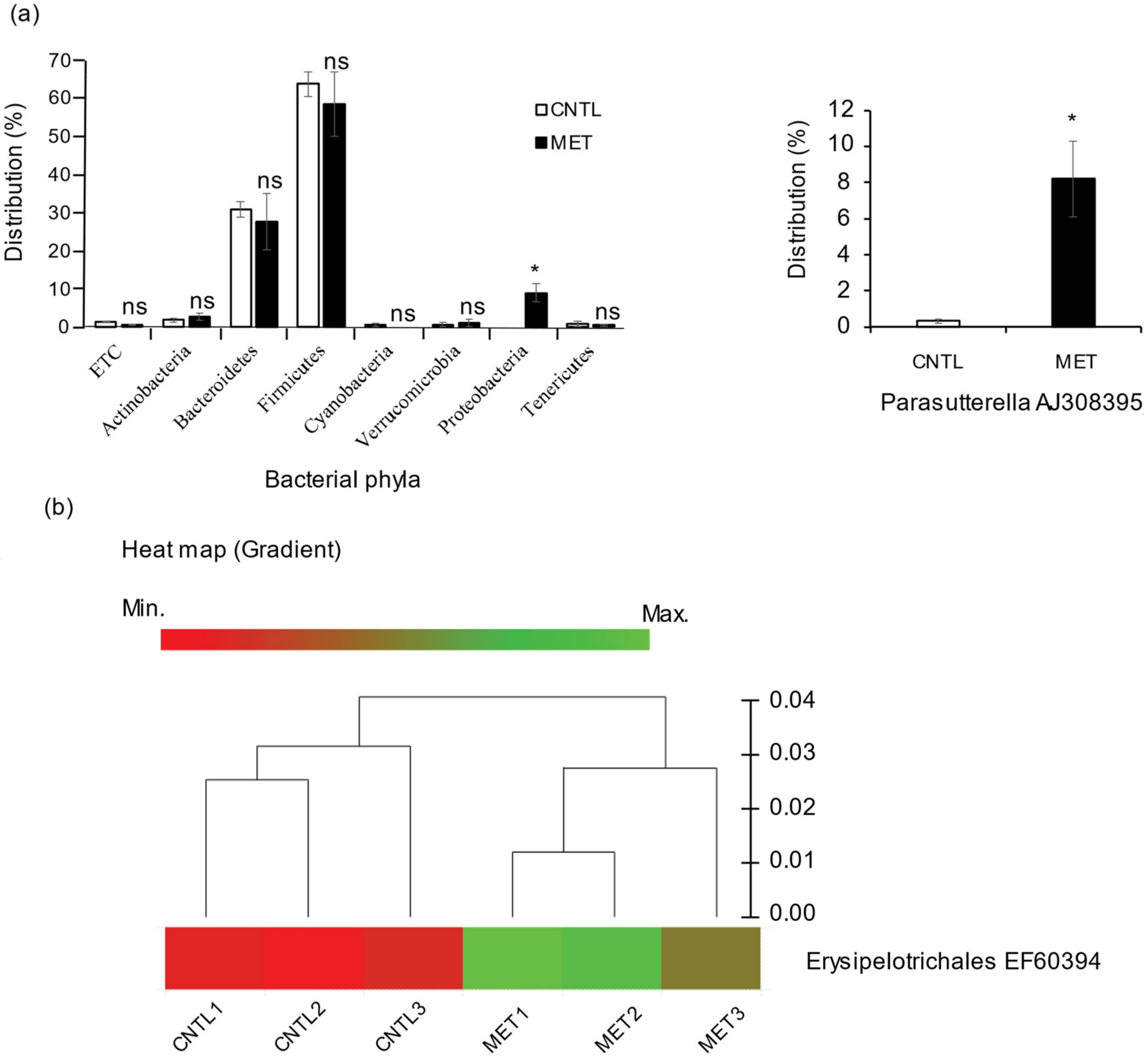 Ijms 19 02418 g001 Ijms 19 02418 g001