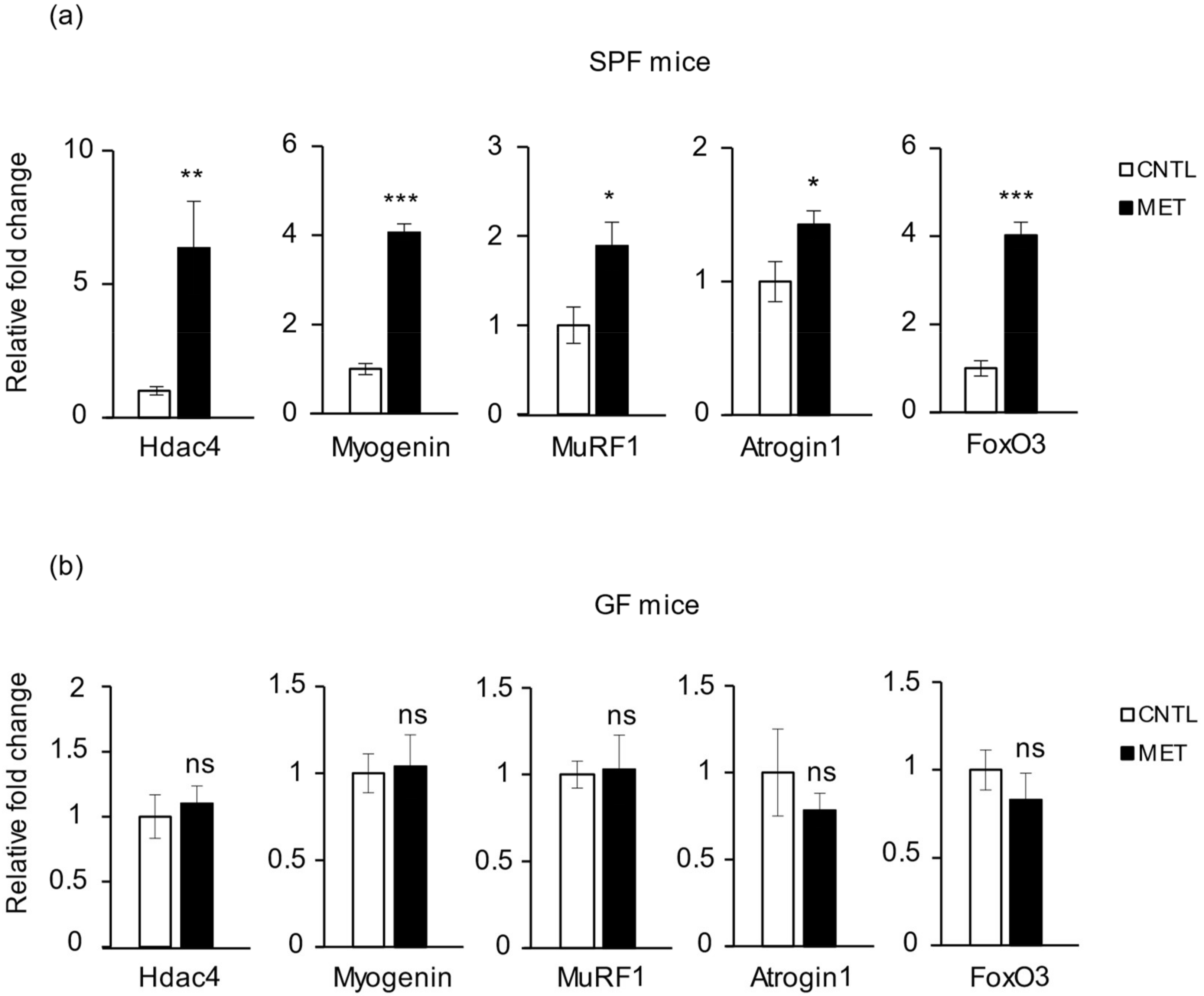 Ijms 19 02418 g003 Ijms 19 02418 g003