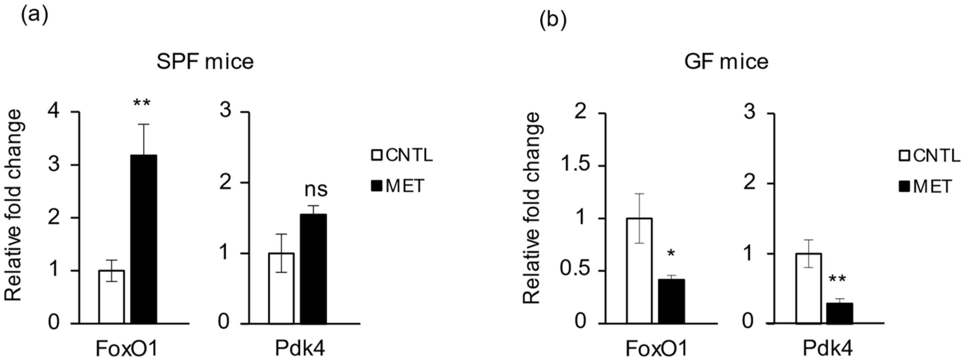 Ijms 19 02418 g004 Ijms 19 02418 g004