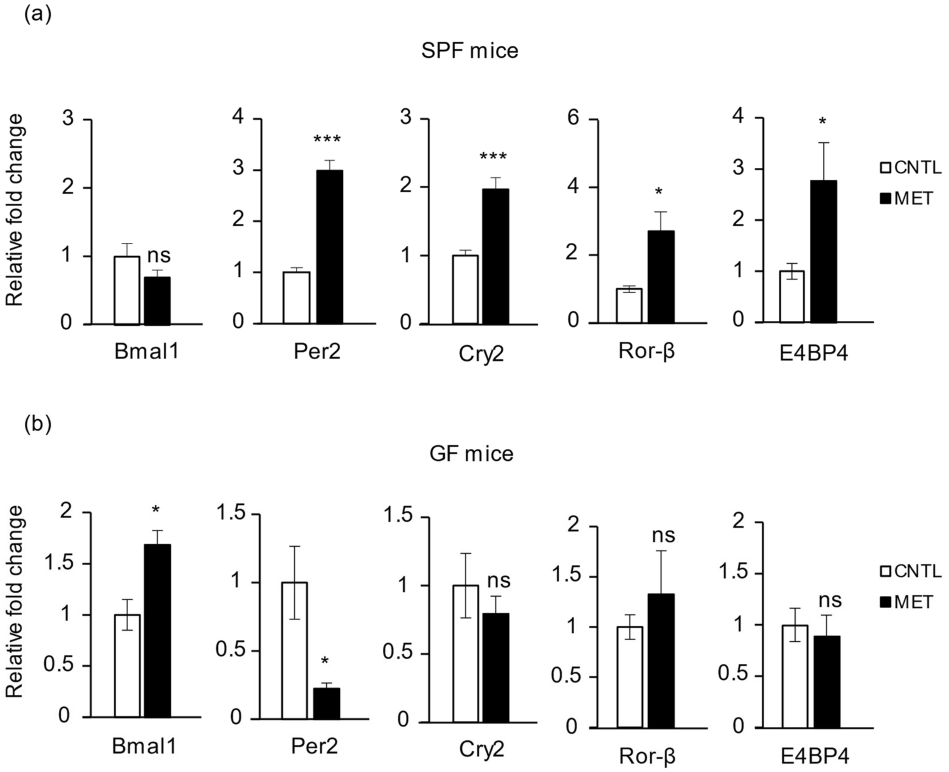 Ijms 19 02418 g005 Ijms 19 02418 g005