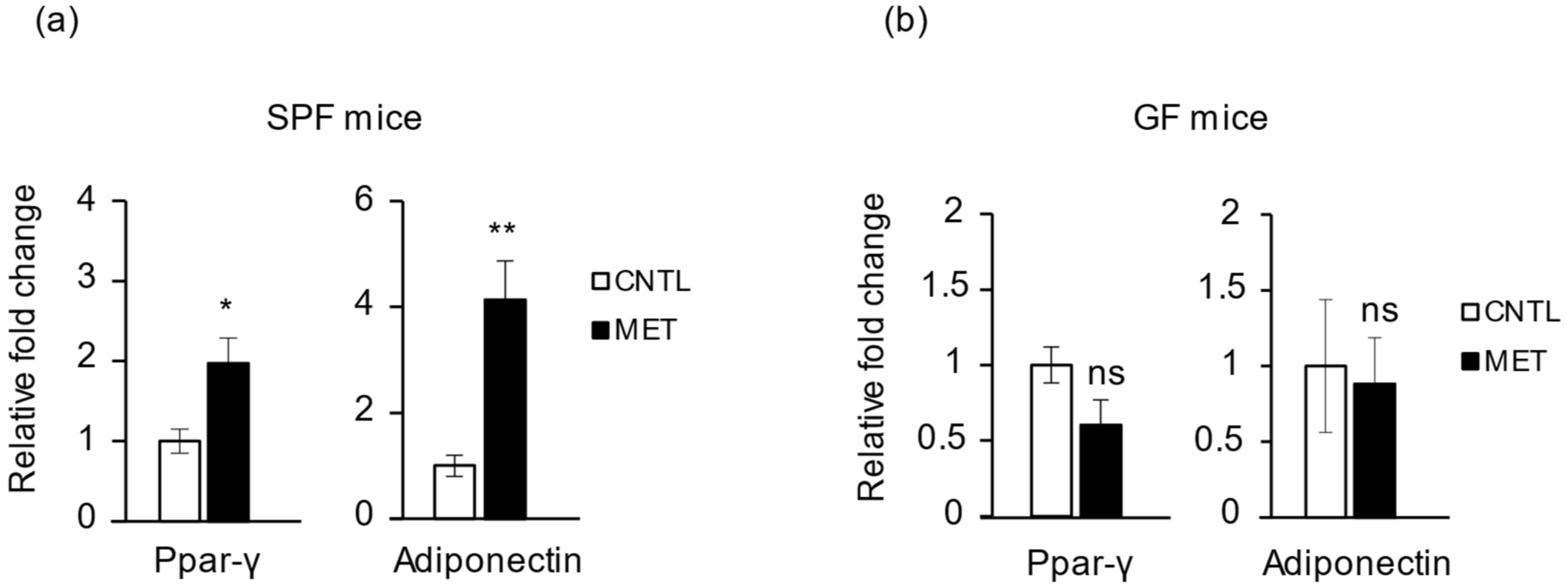 Ijms 19 02418 g006 Ijms 19 02418 g006