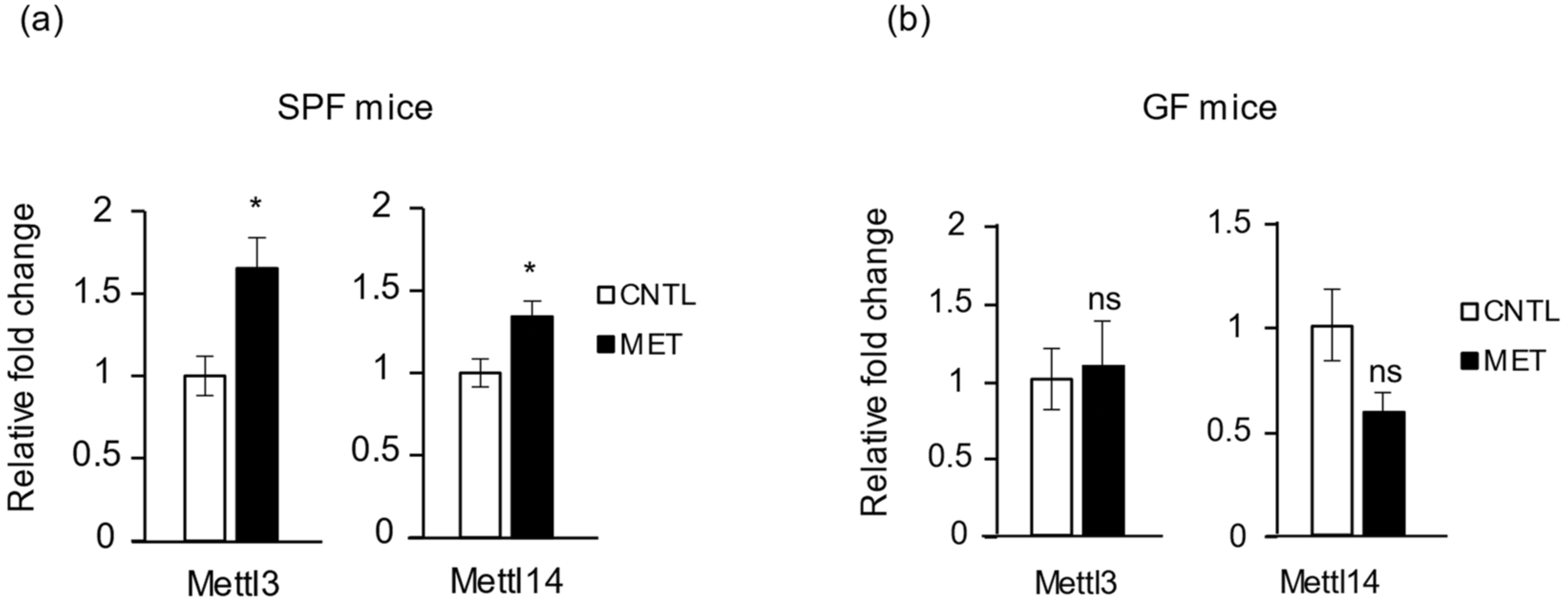 Ijms 19 02418 g007 Ijms 19 02418 g007