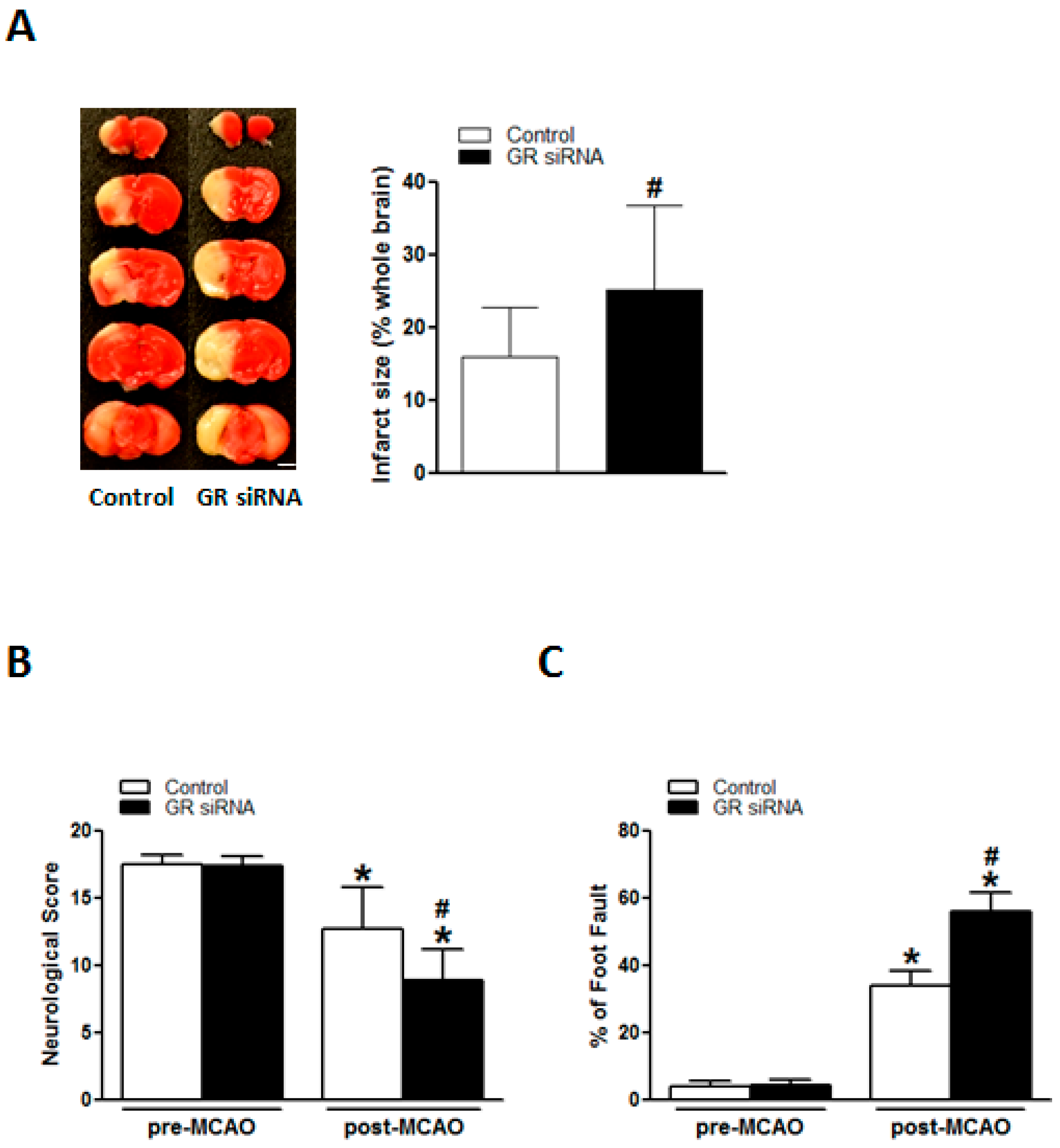 Ijms 19 02428 g005 Ijms 19 02428 g005