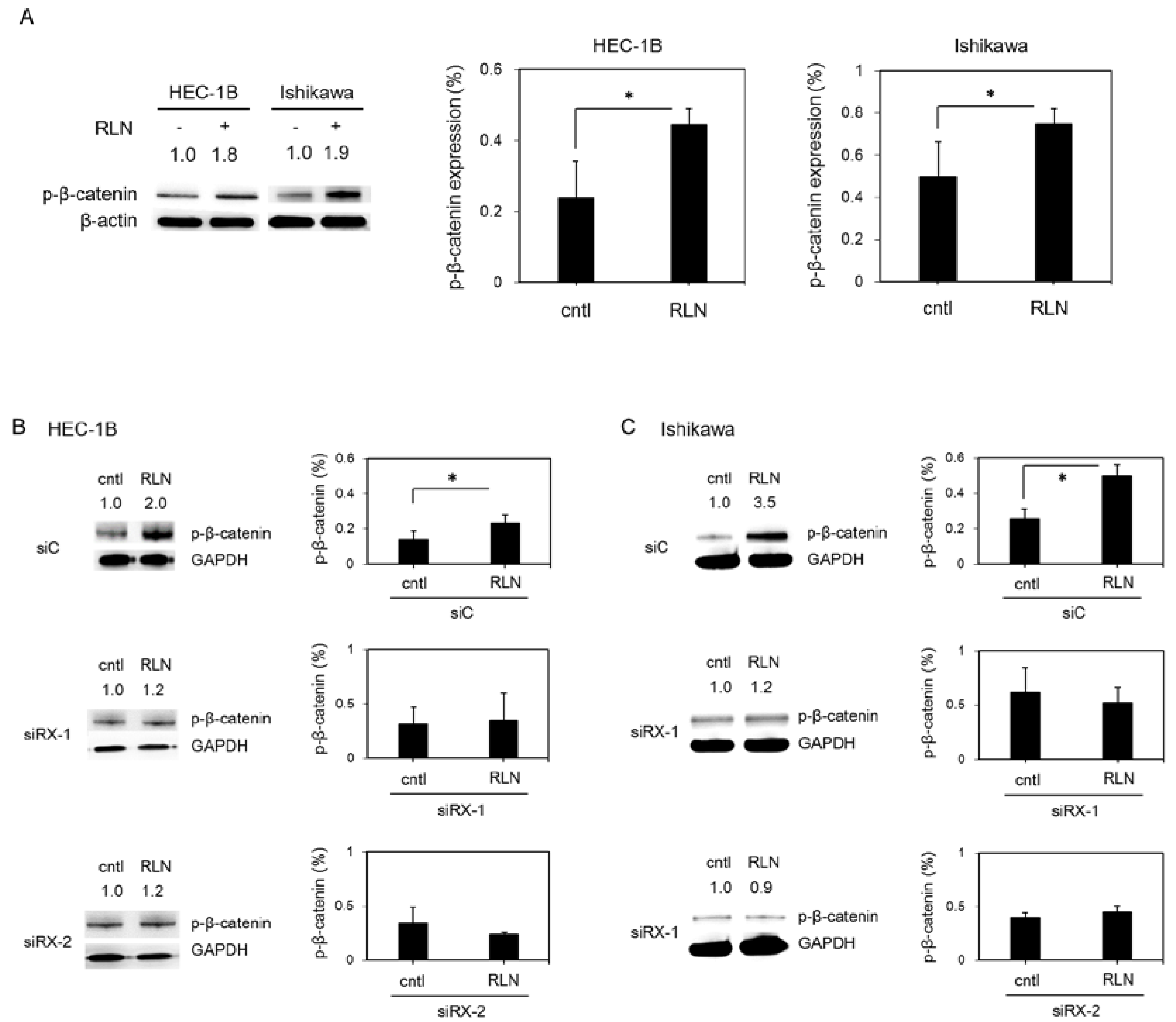 Ijms 19 02438 g003 Ijms 19 02438 g003