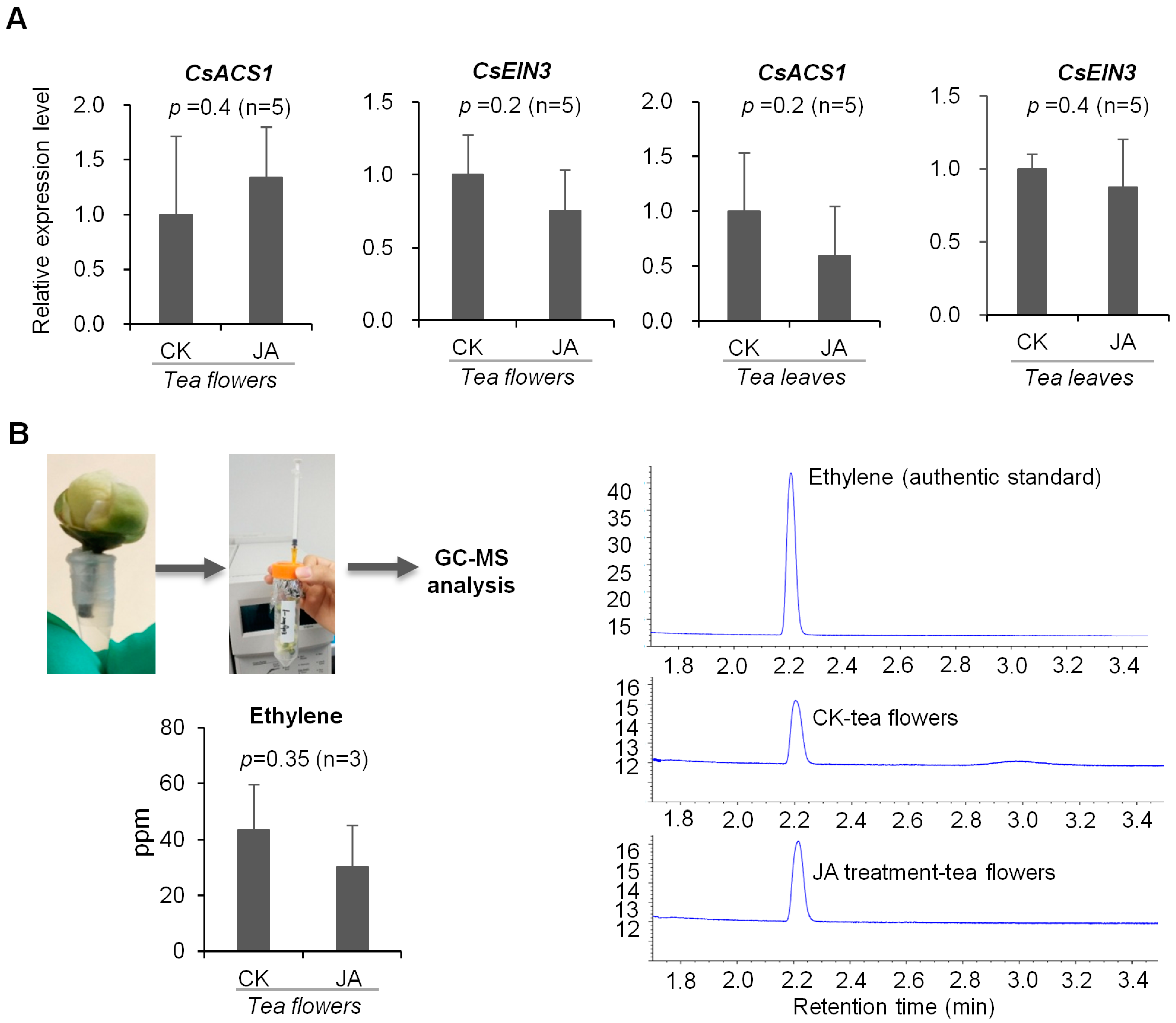 Ijms 19 02440 g006 Ijms 19 02440 g006