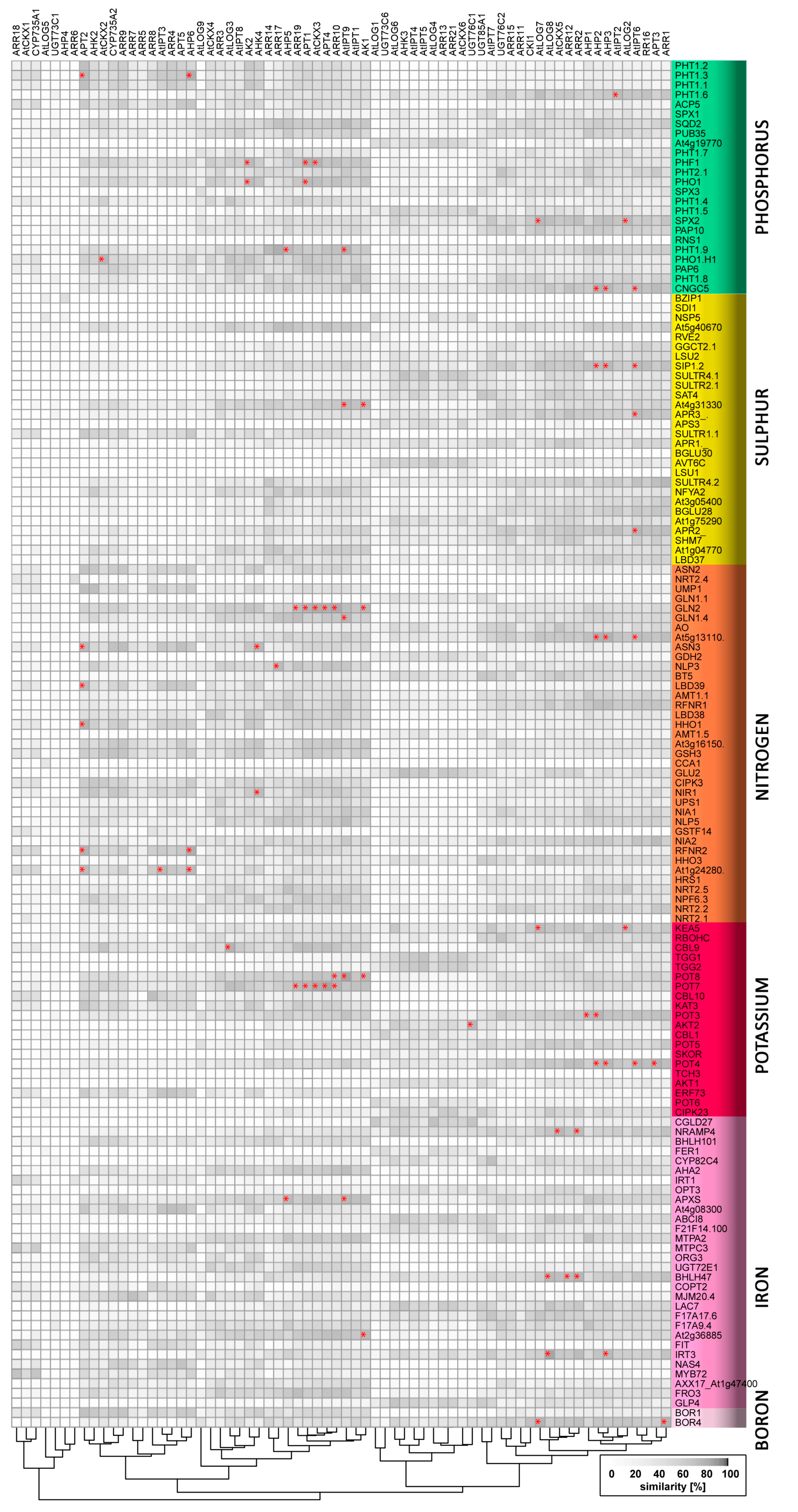 Ijms 19 02450 g002 Ijms 19 02450 g002